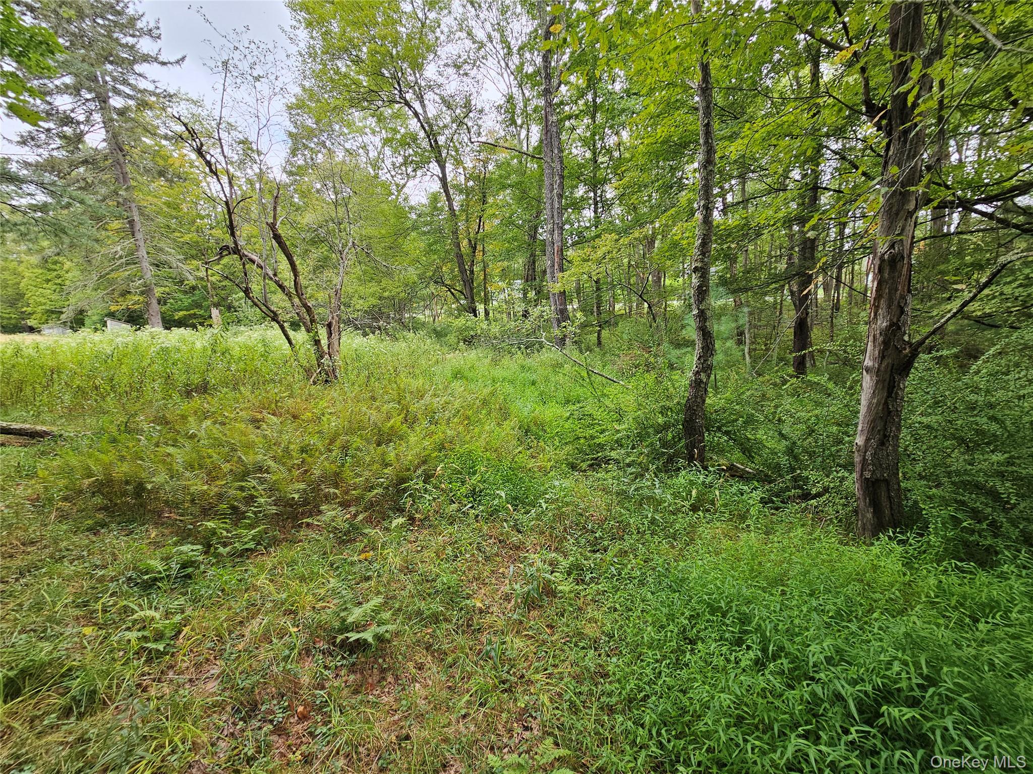 Flower Ave. & State Route 55, Kauneonga Lake, NY 12720