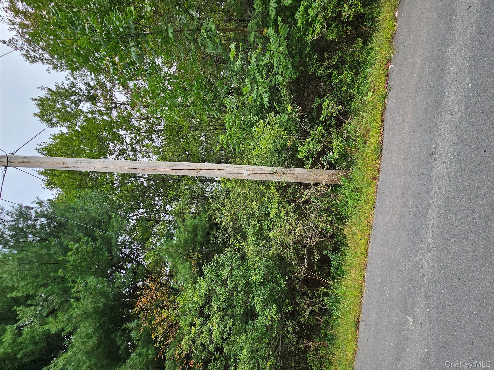 Flower Ave. & State Route 55, Kauneonga Lake, NY 12720