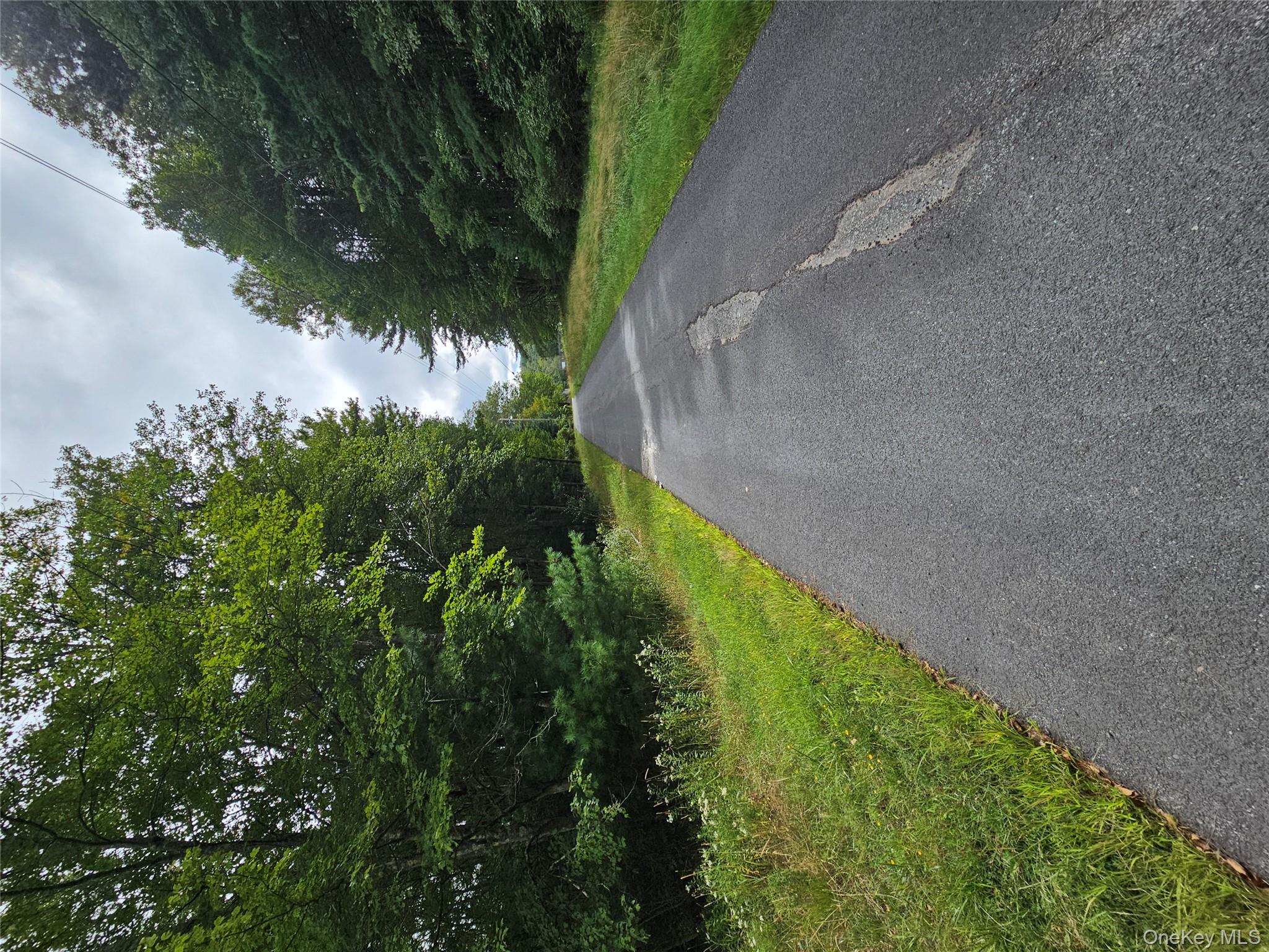 Flower Ave. & State Route 55, Kauneonga Lake, NY 12720