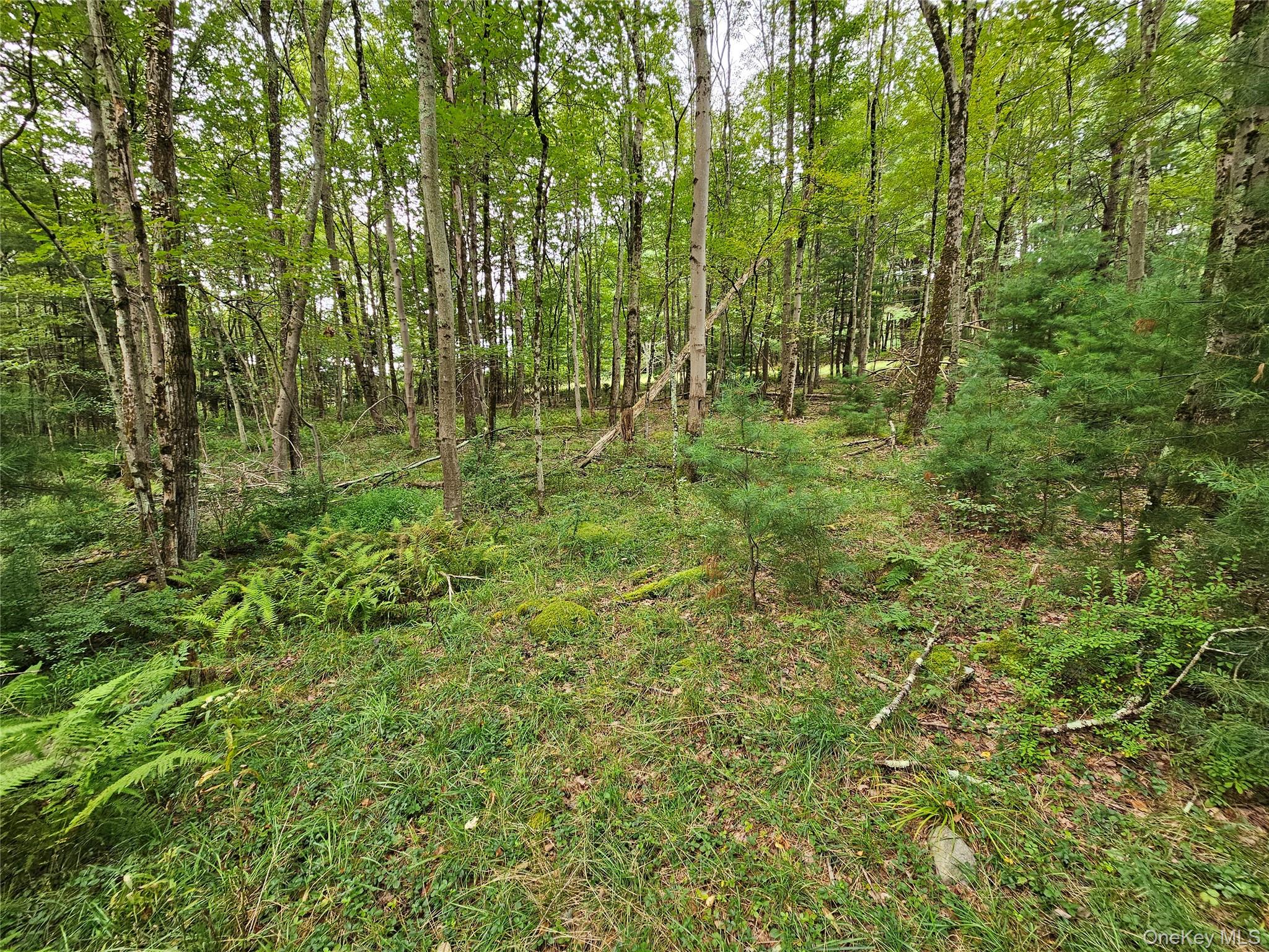 Flower Ave. & State Route 55, Kauneonga Lake, NY 12720