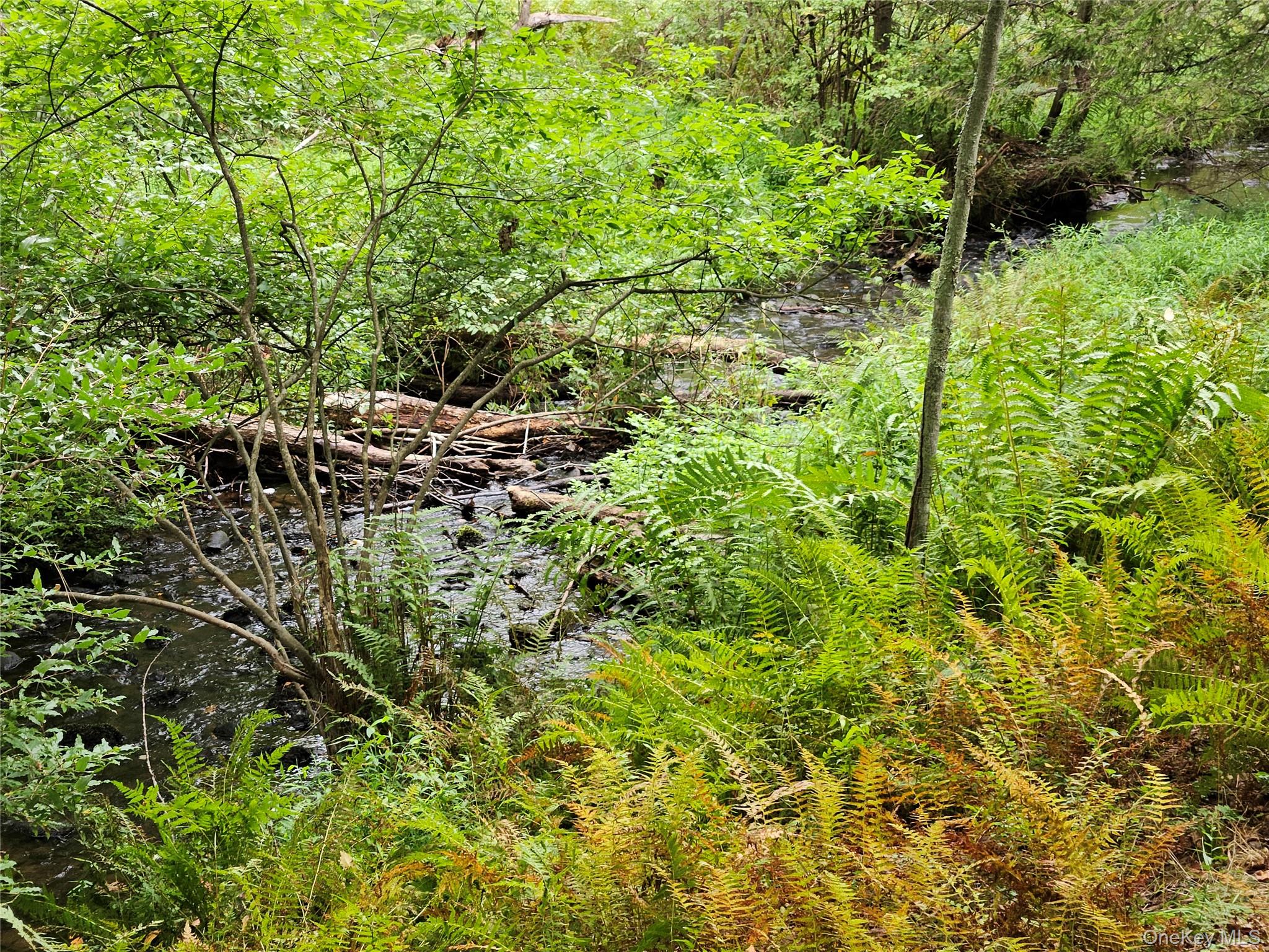 Flower Ave. & State Route 55, Kauneonga Lake, NY 12720