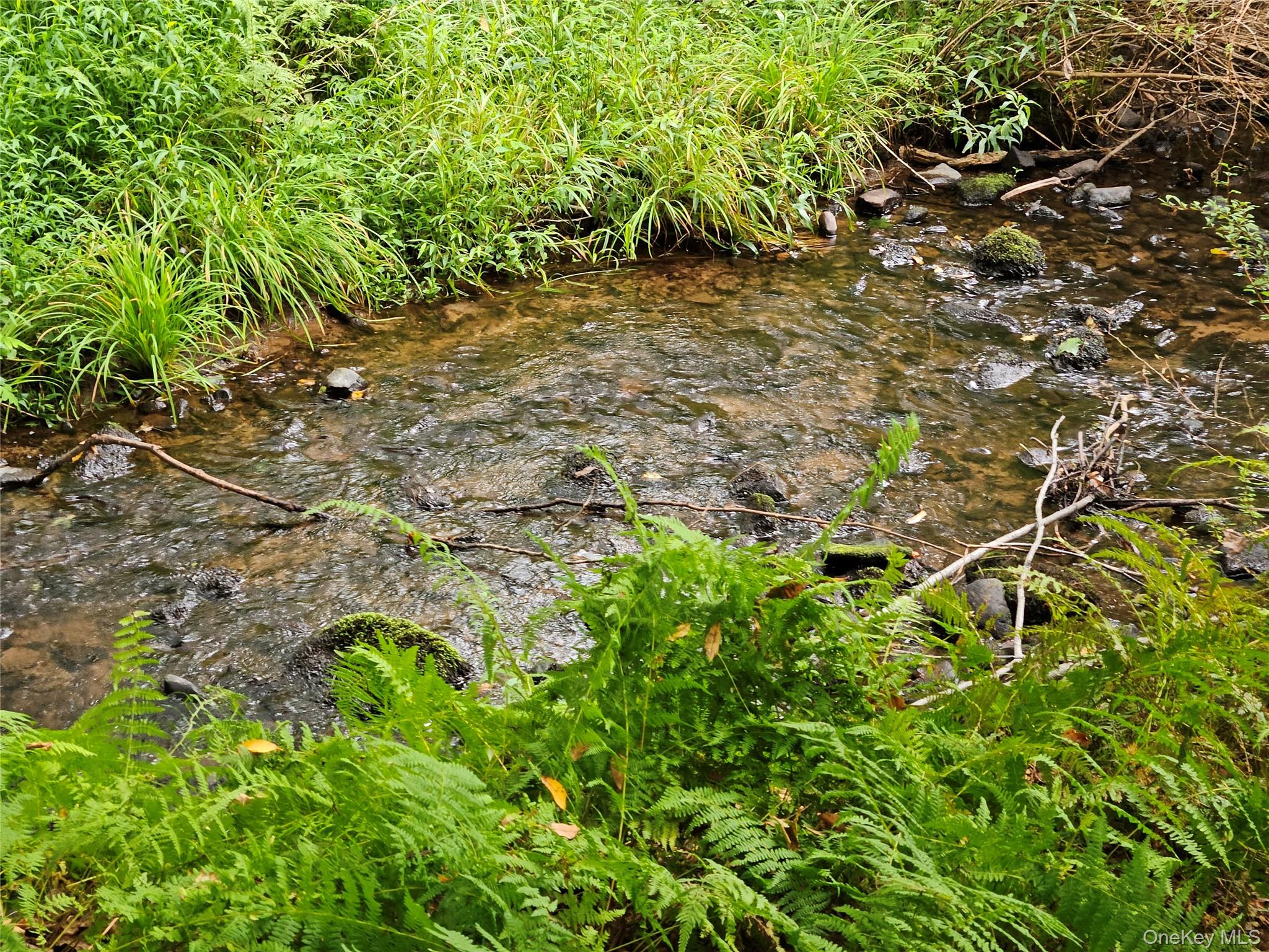 Flower Ave. & State Route 55, Kauneonga Lake, NY 12720