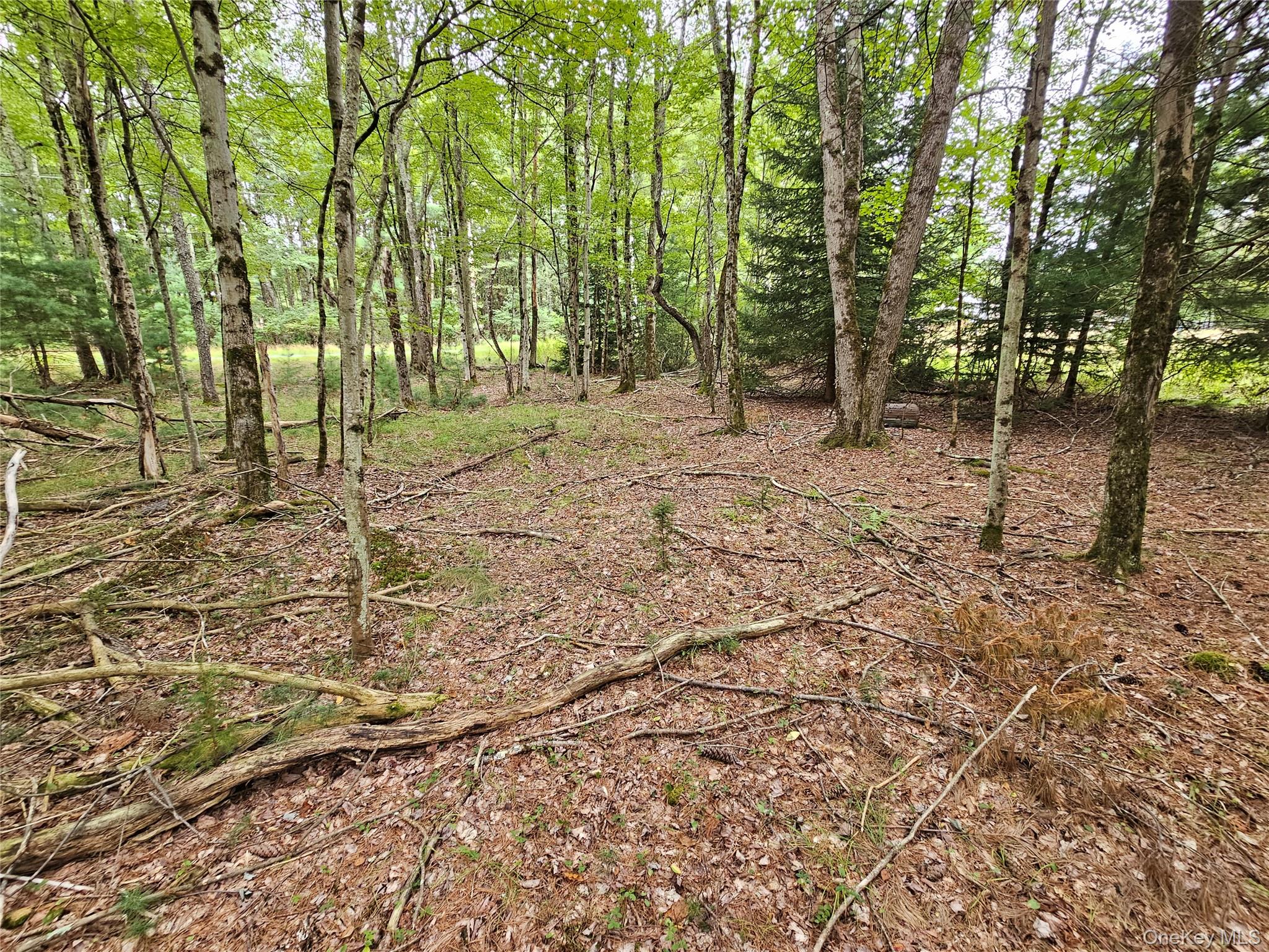 Flower Ave. & State Route 55, Kauneonga Lake, NY 12720