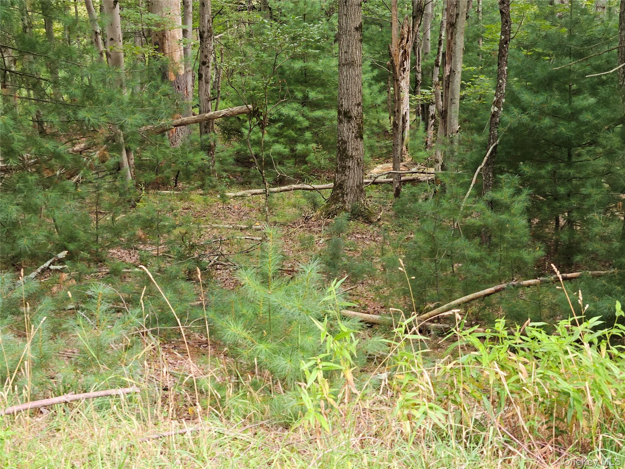 Flower Ave. & State Route 55, Kauneonga Lake, NY 12720