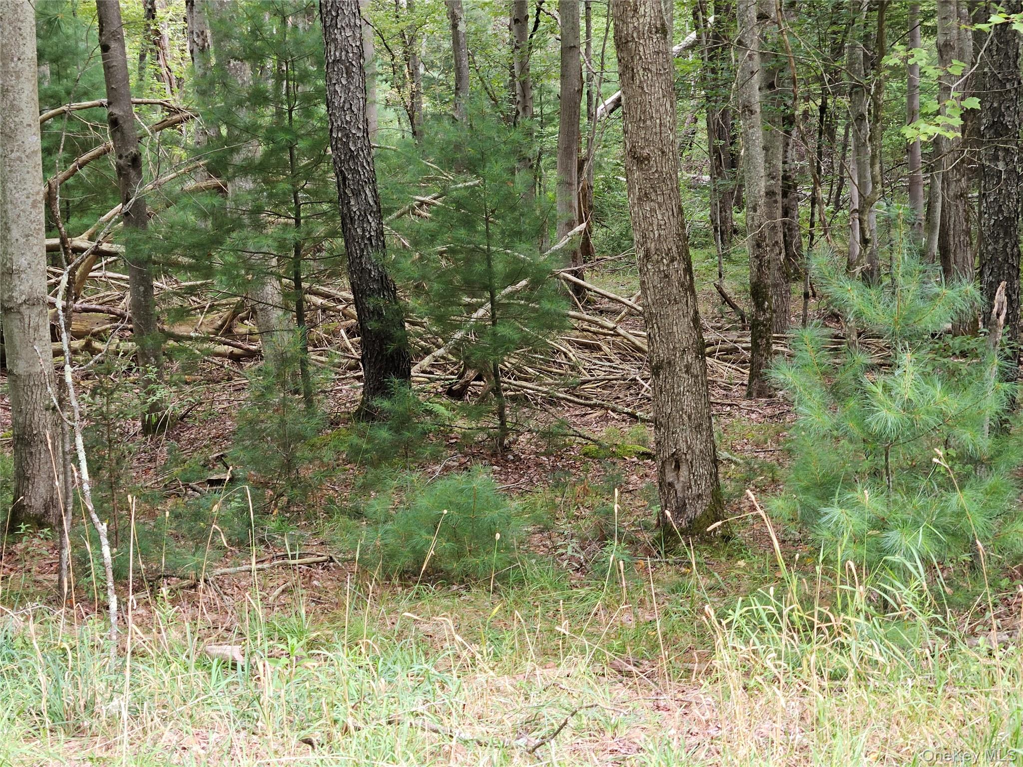 Flower Ave. & State Route 55, Kauneonga Lake, NY 12720