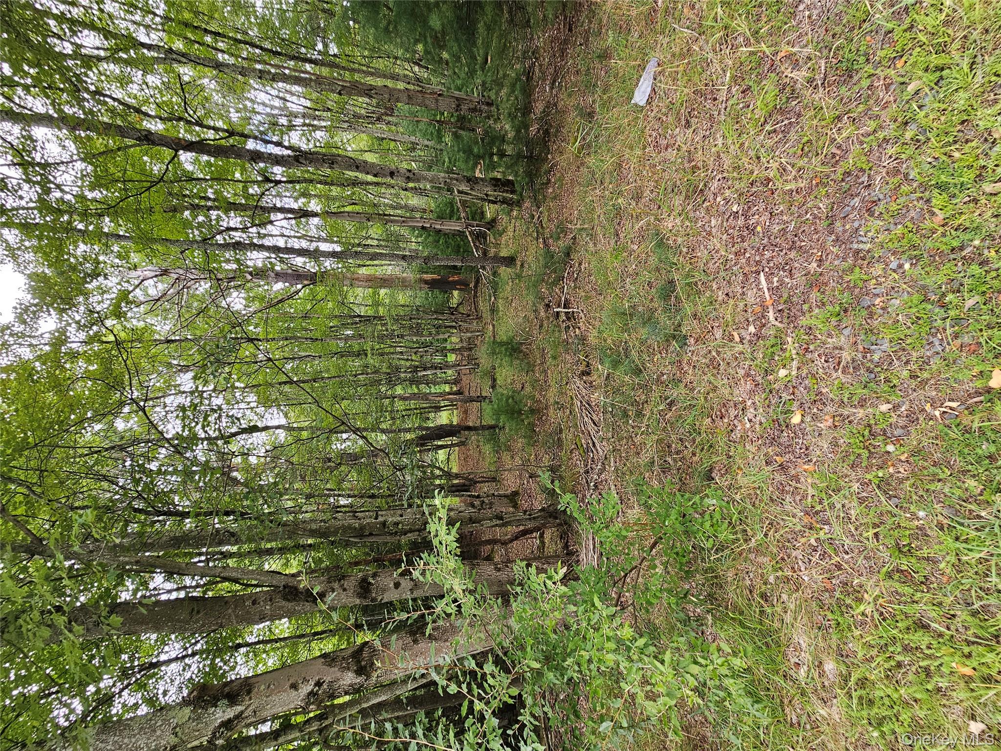 Flower Ave. & State Route 55, Kauneonga Lake, NY 12720