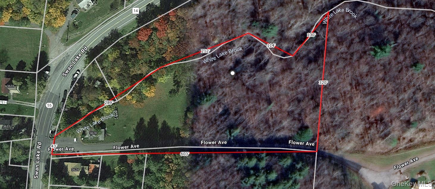 Flower Ave. & State Route 55, Kauneonga Lake, NY 12720