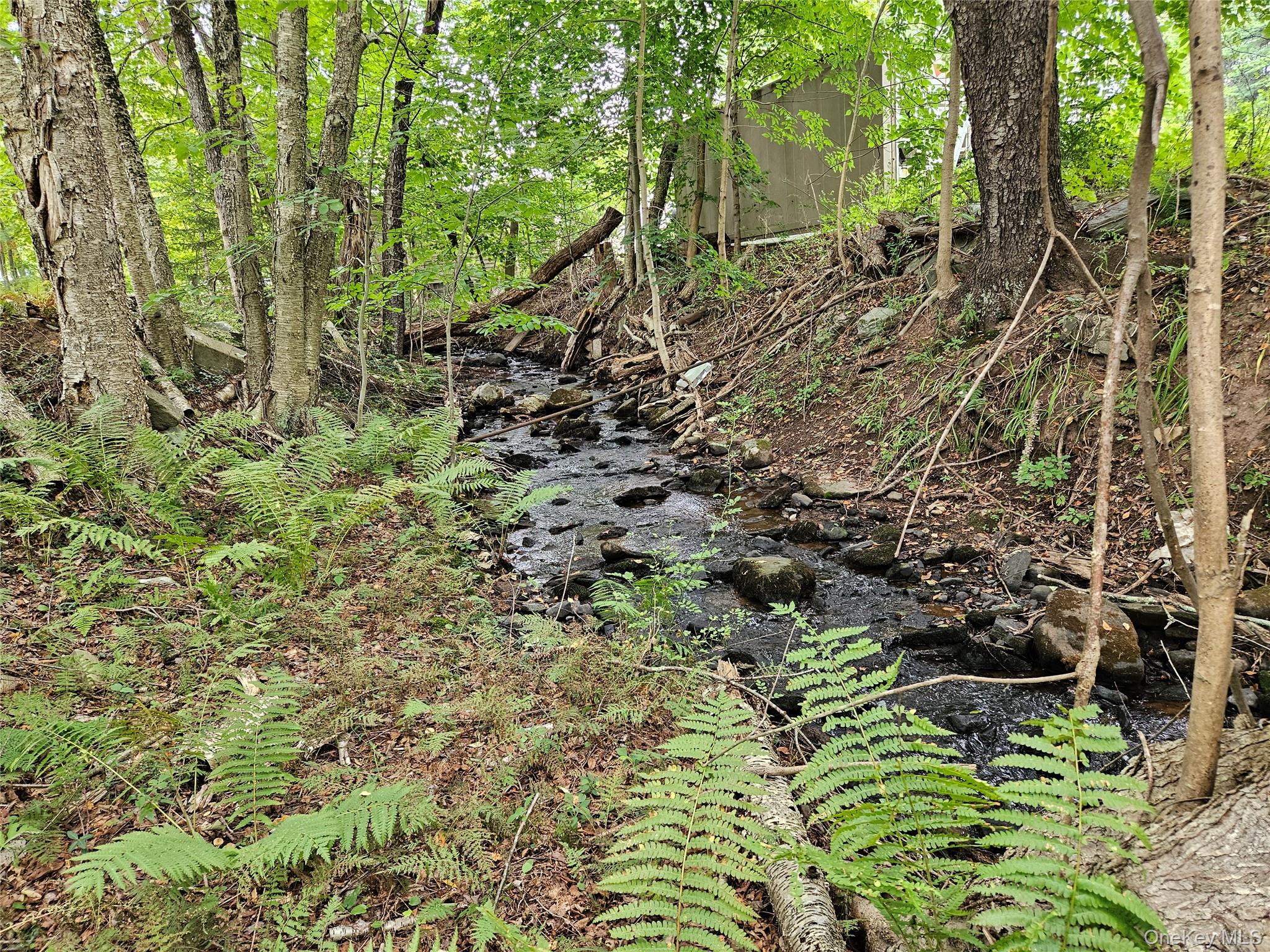 Flower Ave. & State Route 55, Kauneonga Lake, NY 12720