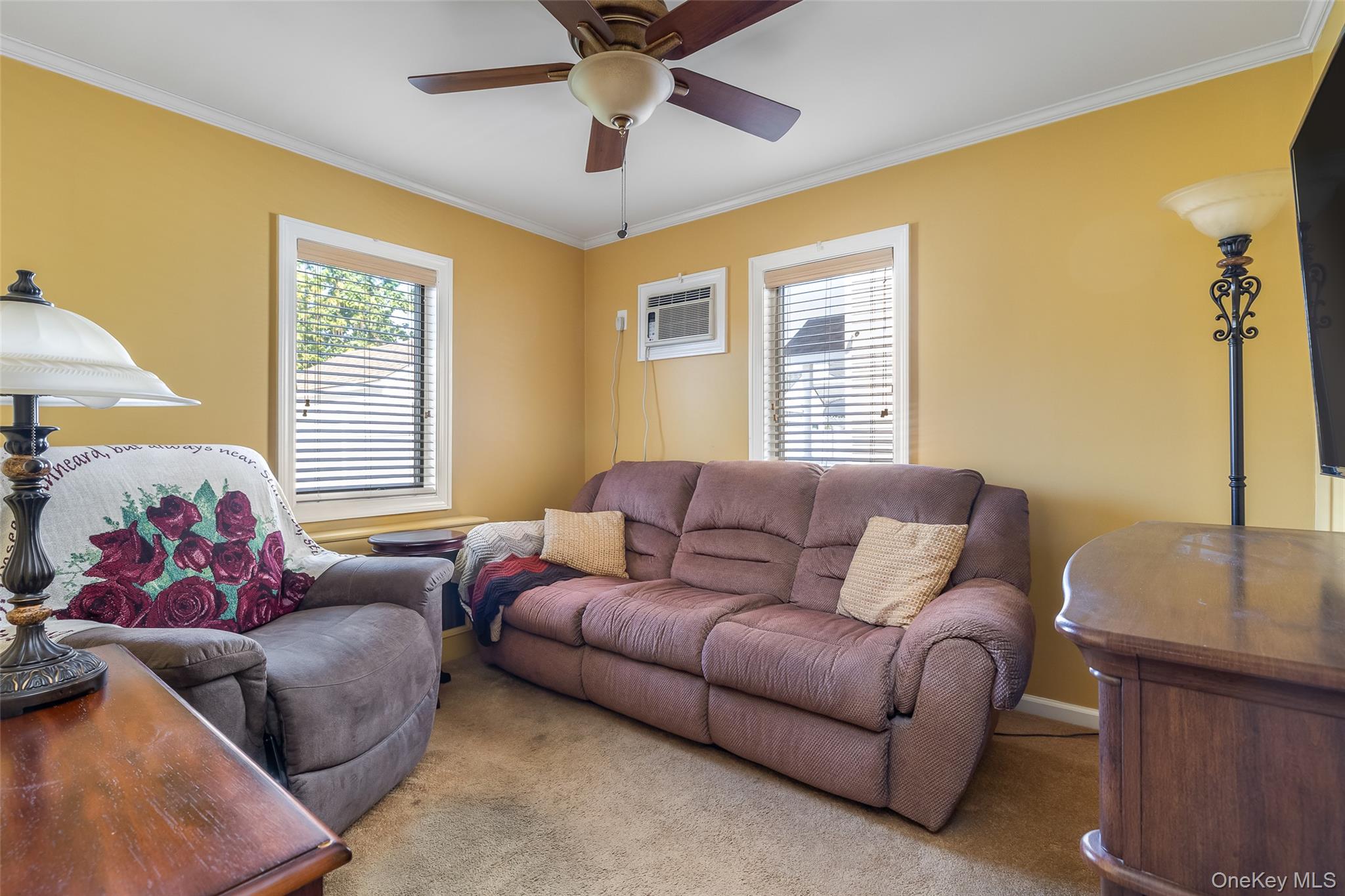 116-24 238th Street, Elmont, NY 11003