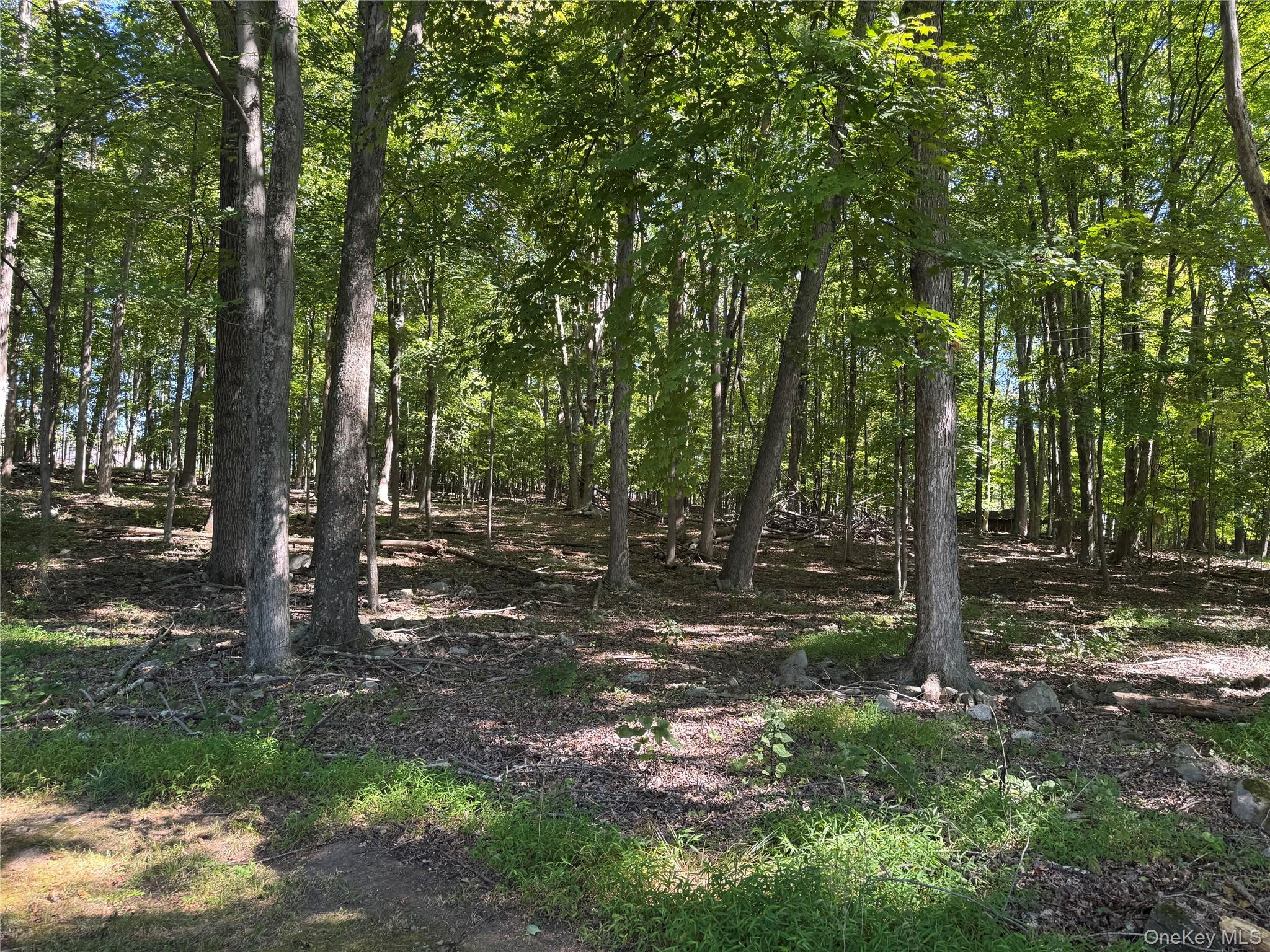 408 County Route 22, Middletown, NY 10940