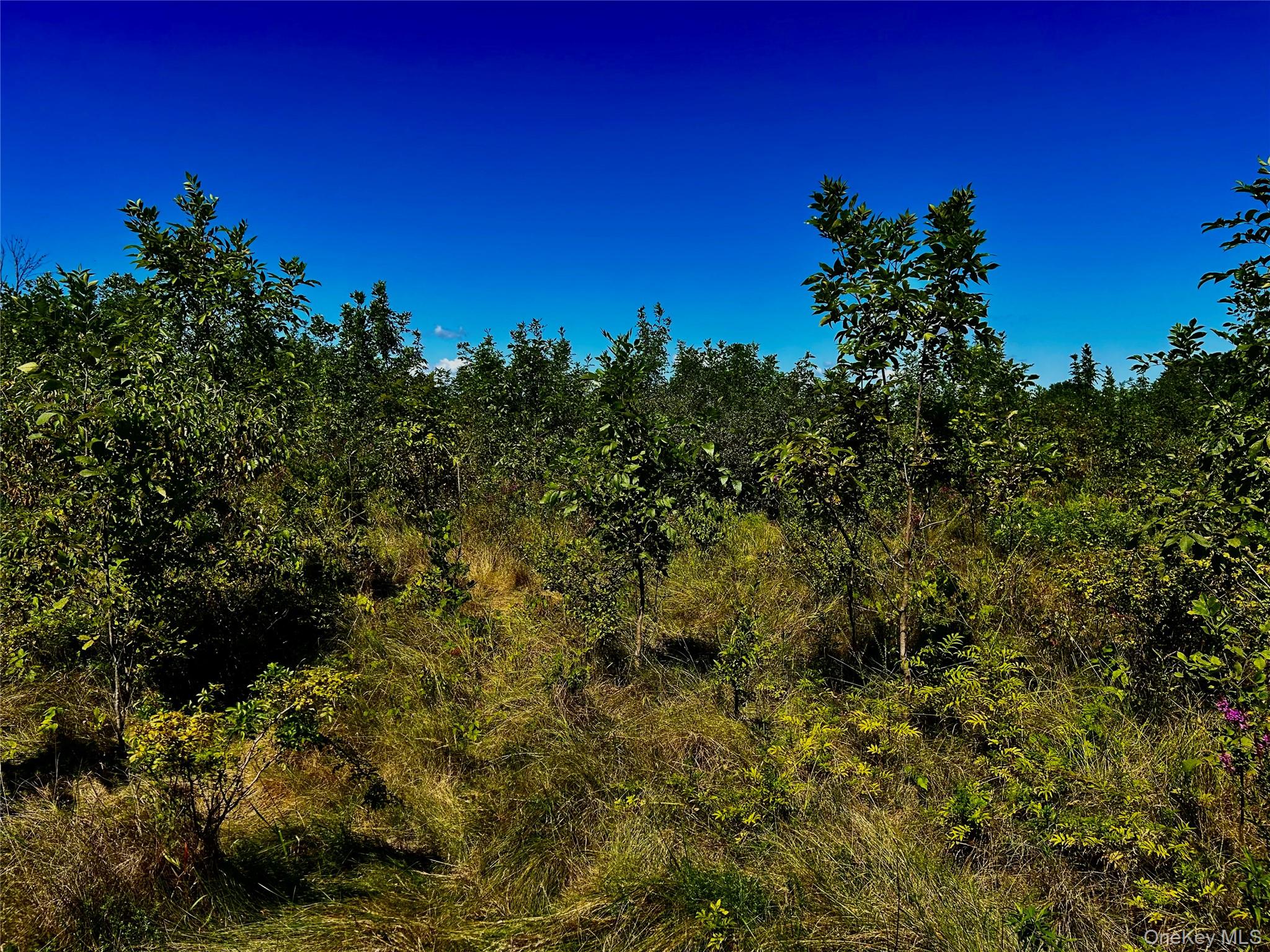 00 N Vernon, Athens, NY