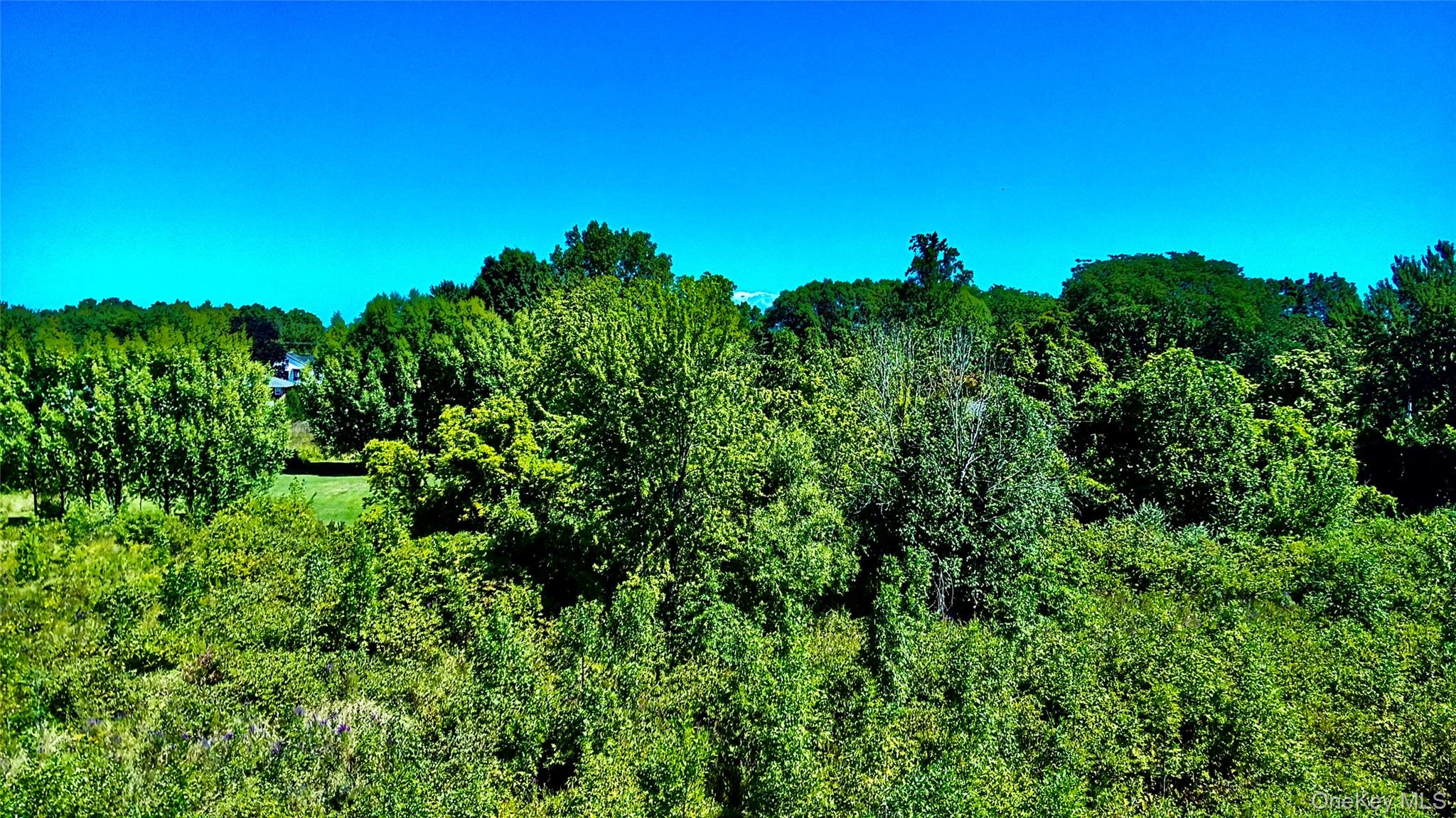 00 N Vernon, Athens, NY