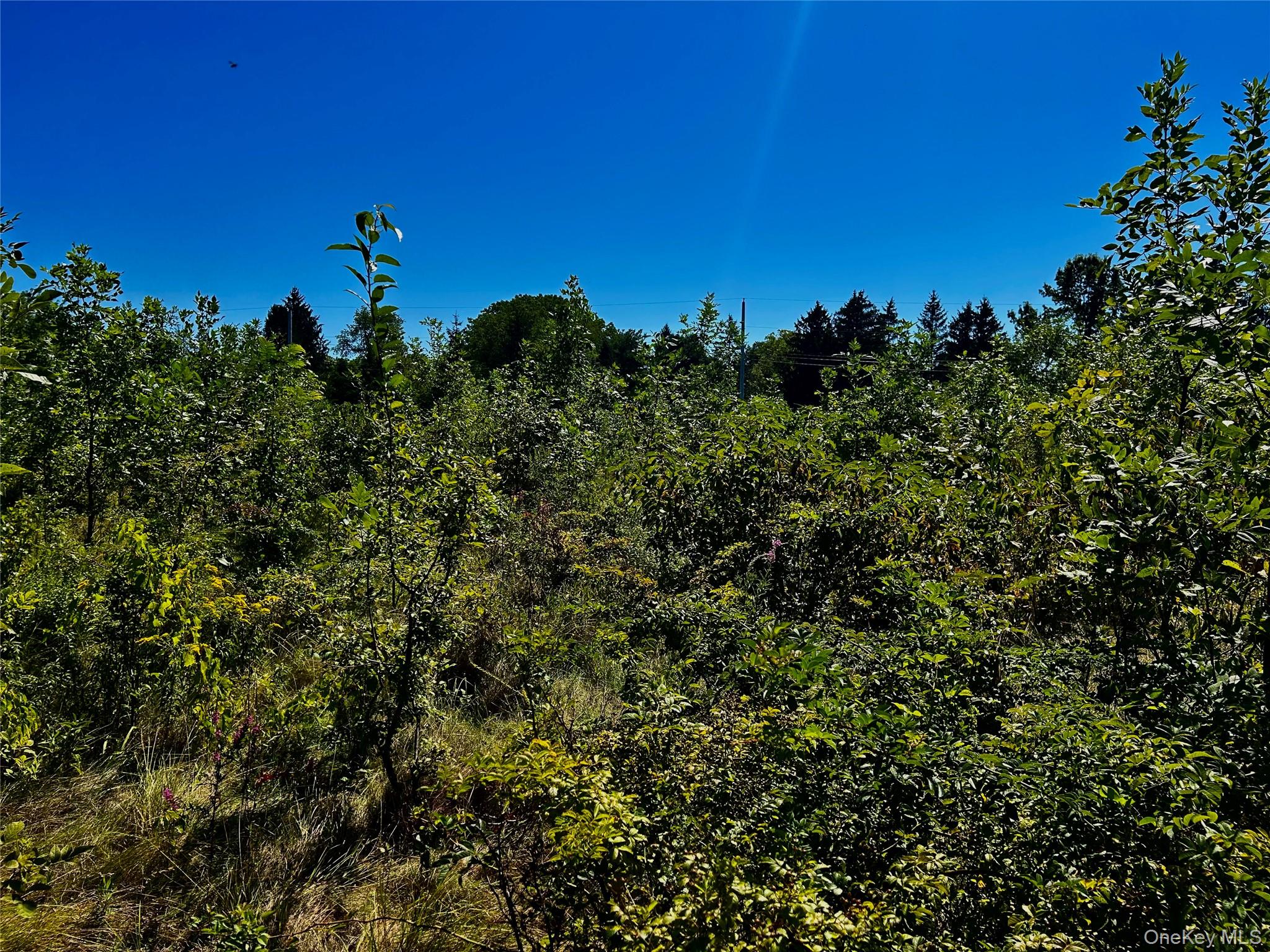 00 N Vernon, Athens, NY