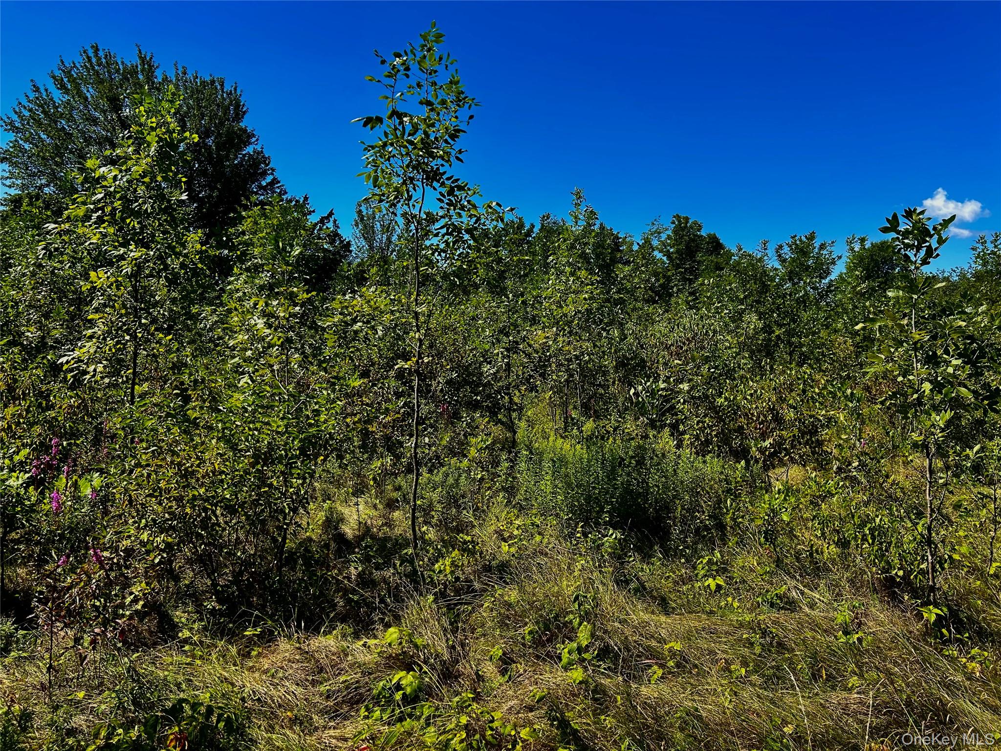 00 N Vernon, Athens, NY