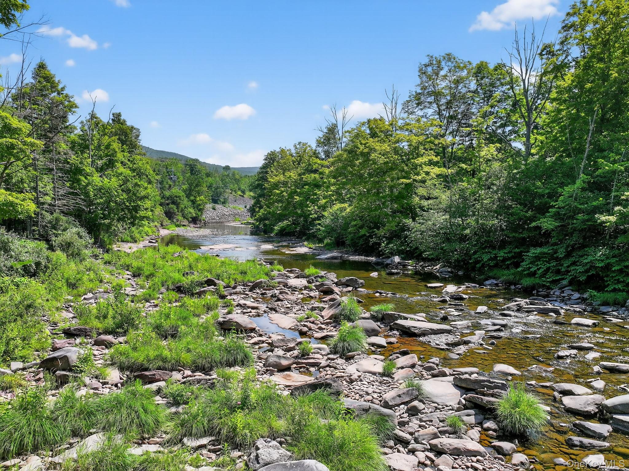 8213 Main Street, Hunter, NY 12442