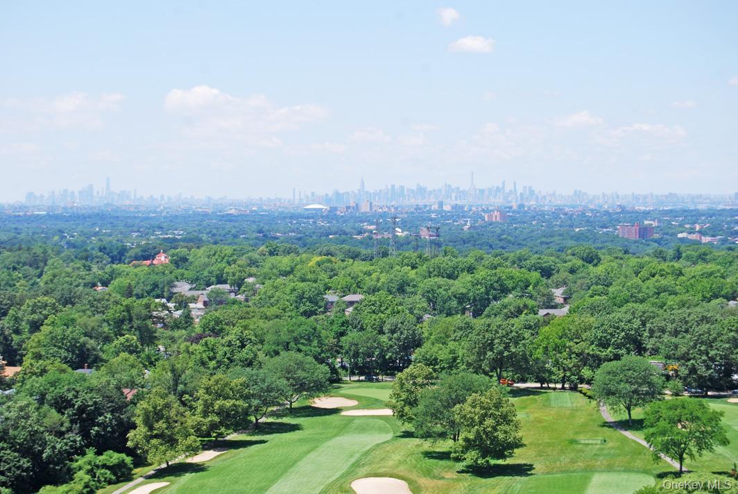 26910 Grand Central Parkway # 17Y, Floral Park, NY 11005