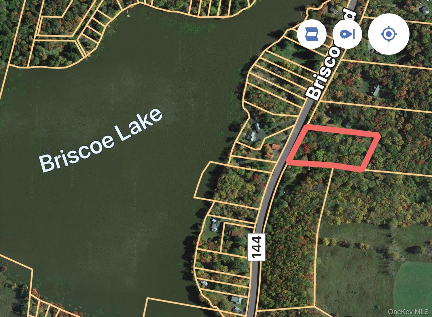 Briscoe Road, Bethel, NY 12720