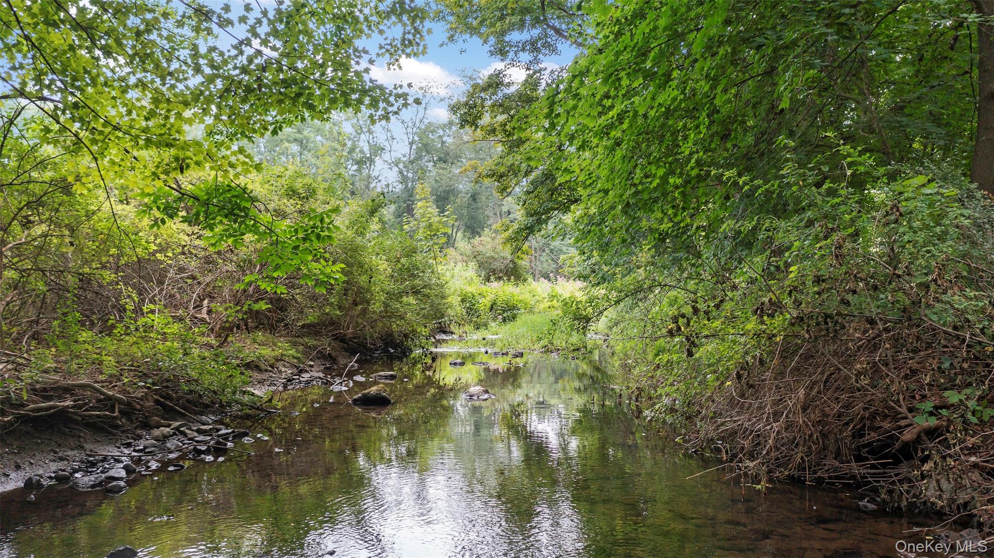 36 Market Lane, Clinton Corners, NY 12514