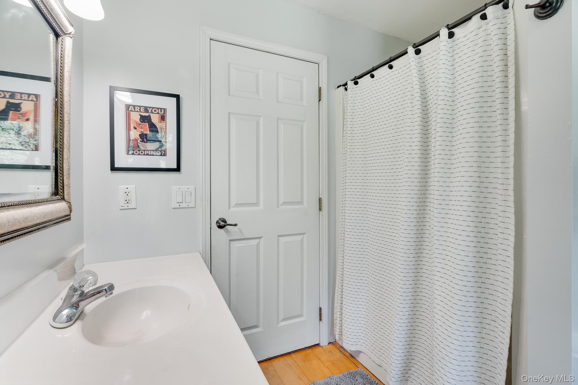 22 Mountain View Avenue, Staatsburg, NY 12580