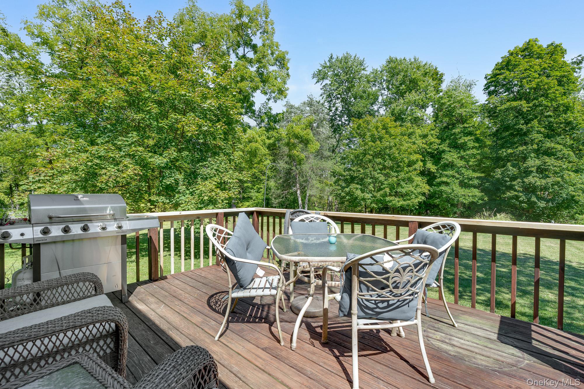 22 Mountain View Avenue, Staatsburg, NY 12580