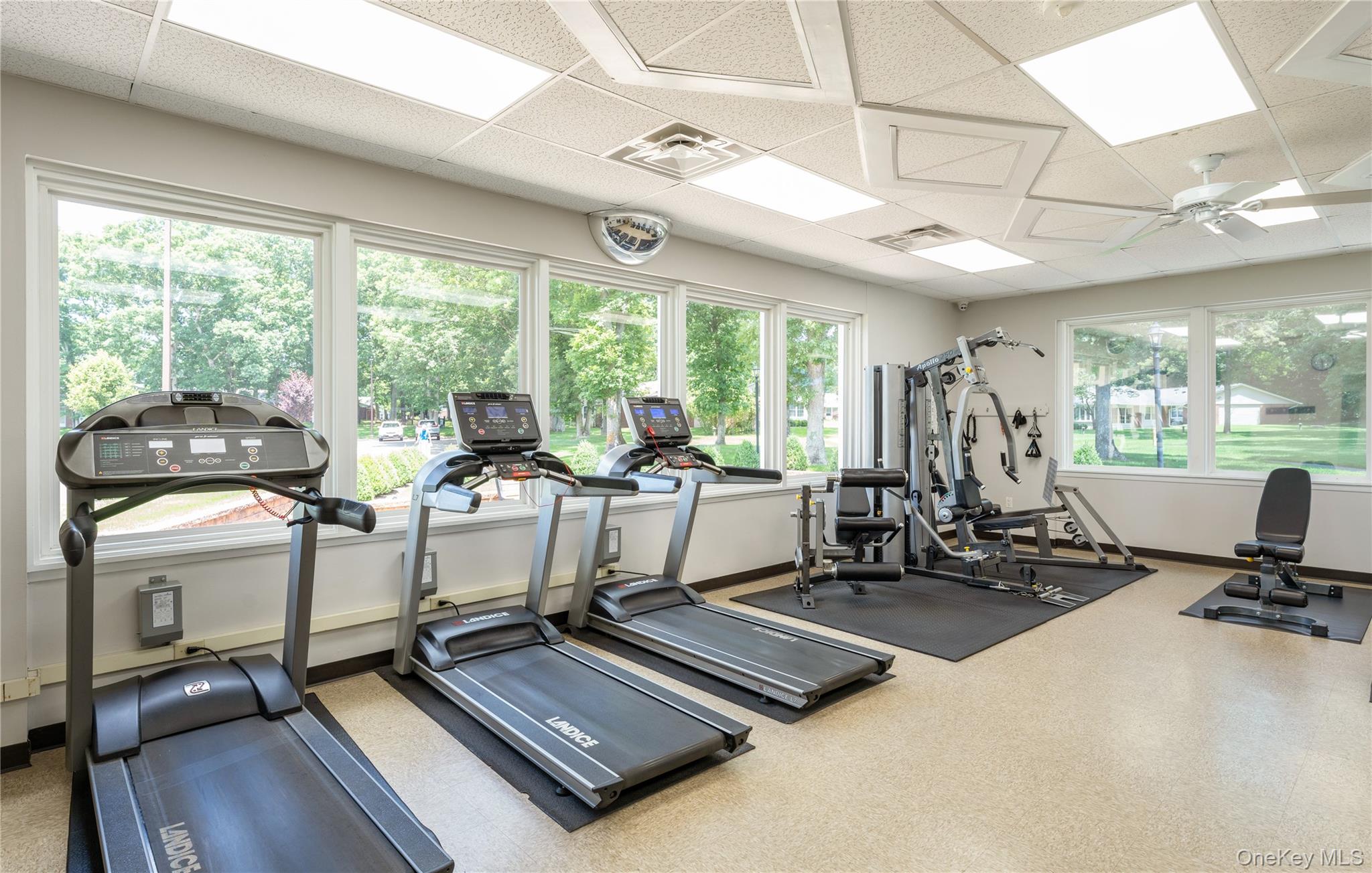 329 Woodbridge Drive # A, Ridge, NY 11961