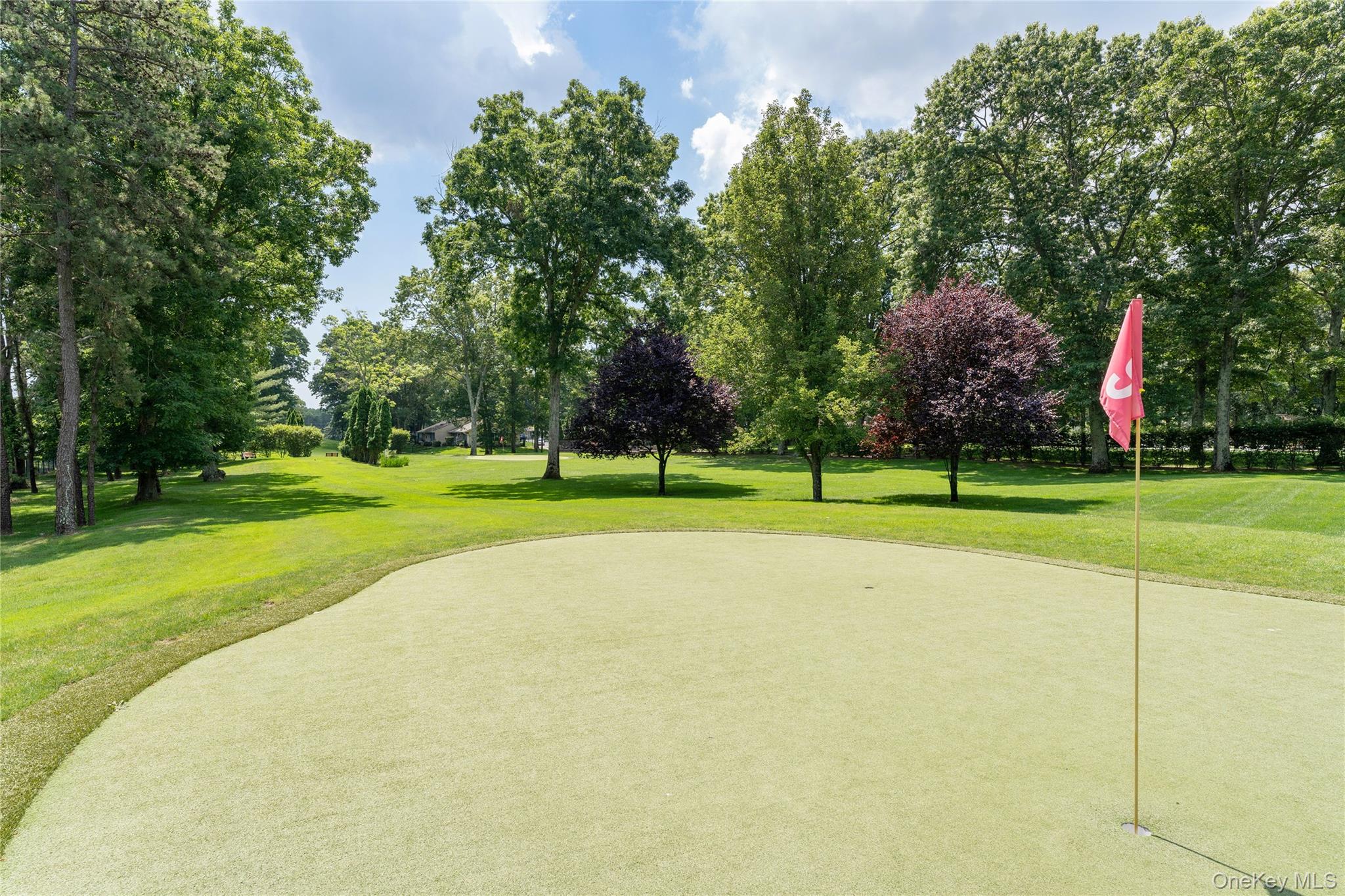 329 Woodbridge Drive # A, Ridge, NY 11961