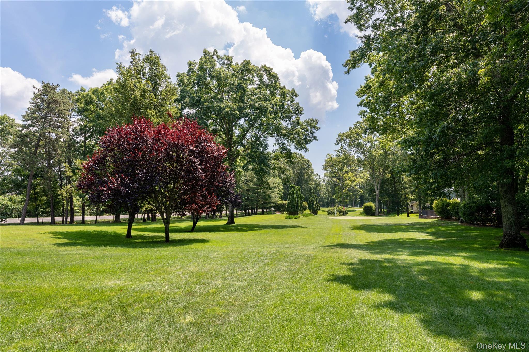 329 Woodbridge Drive # A, Ridge, NY 11961