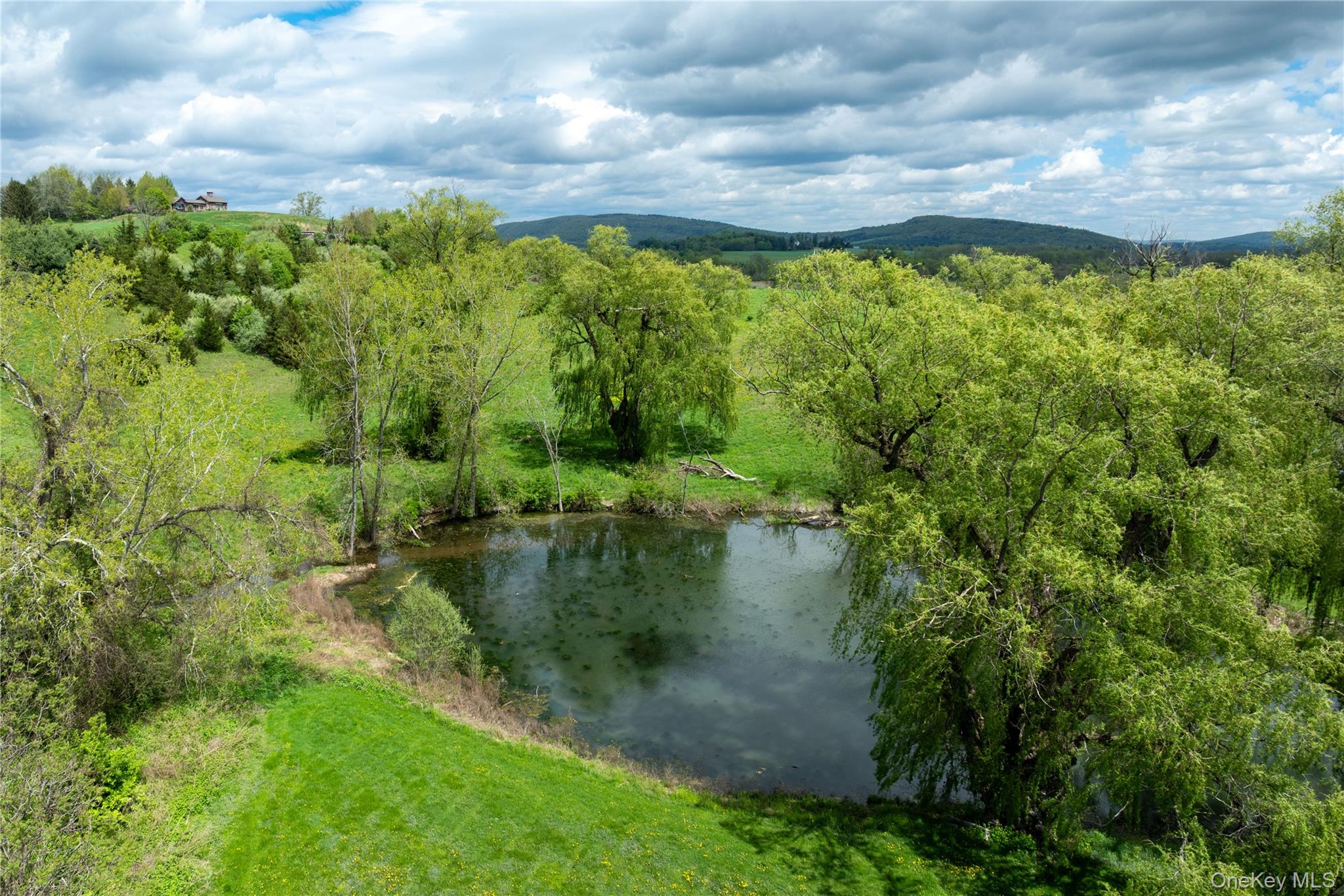 12-19 Goose Pond Lane, Millerton, NY 12546