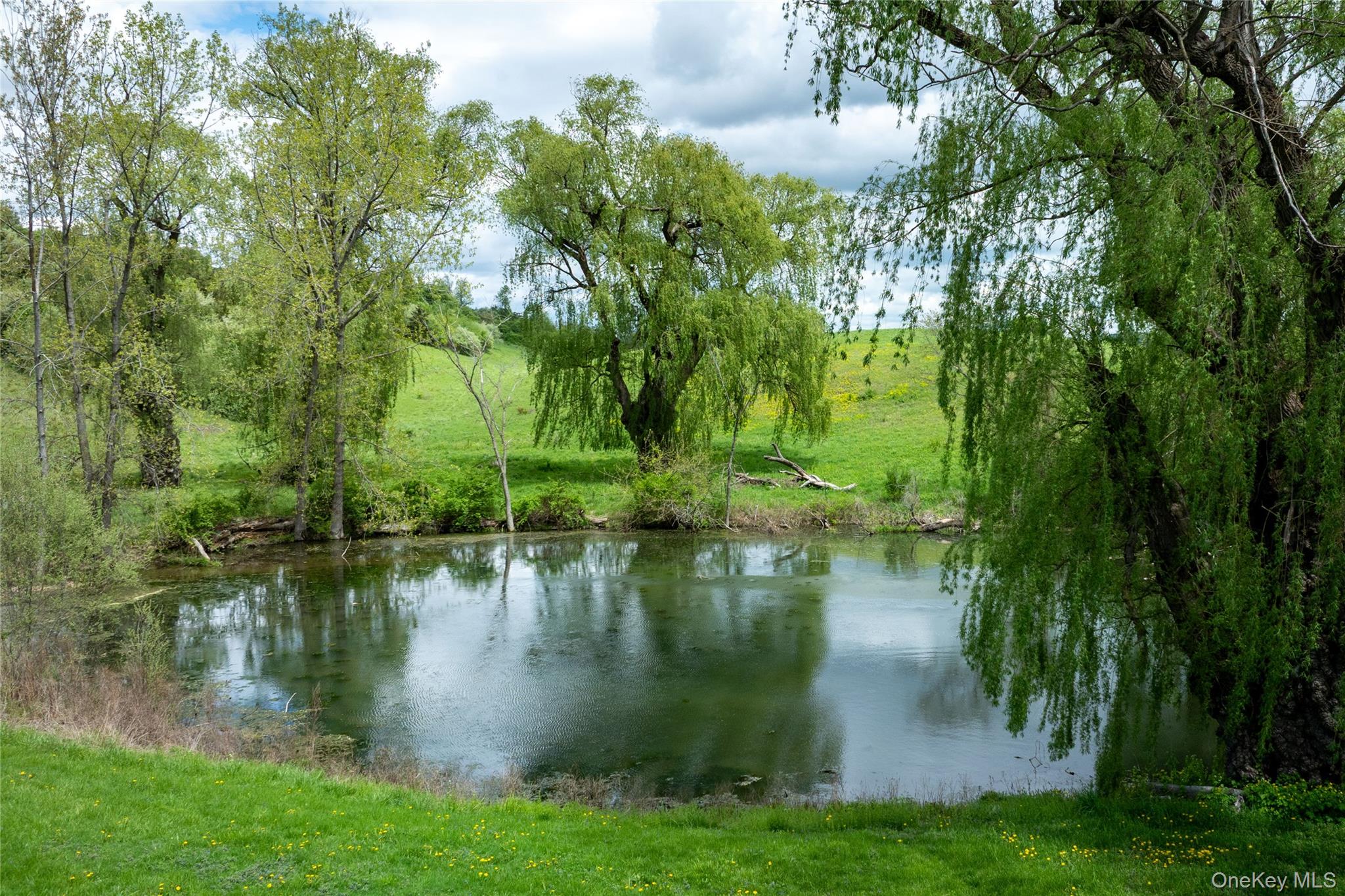 12-19 Goose Pond Lane, Millerton, NY 12546