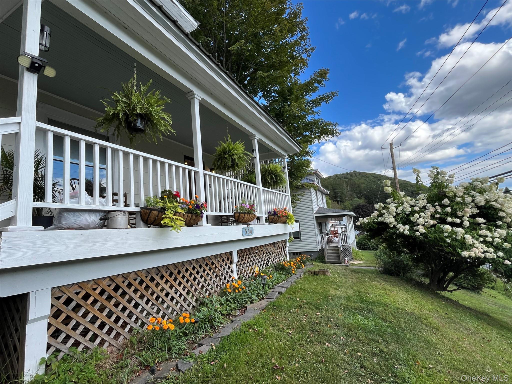 534 Old Route 17, Livingston Manor, NY 12758