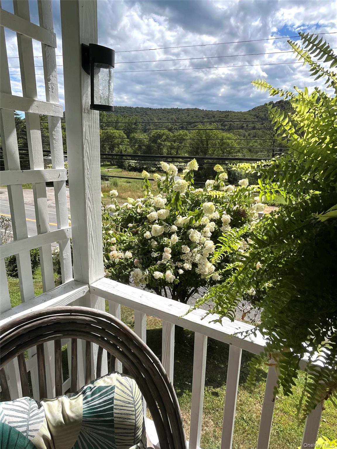 534 Old Route 17, Livingston Manor, NY 12758