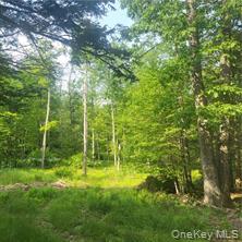 Pine Street, Wurtsboro, NY 12790