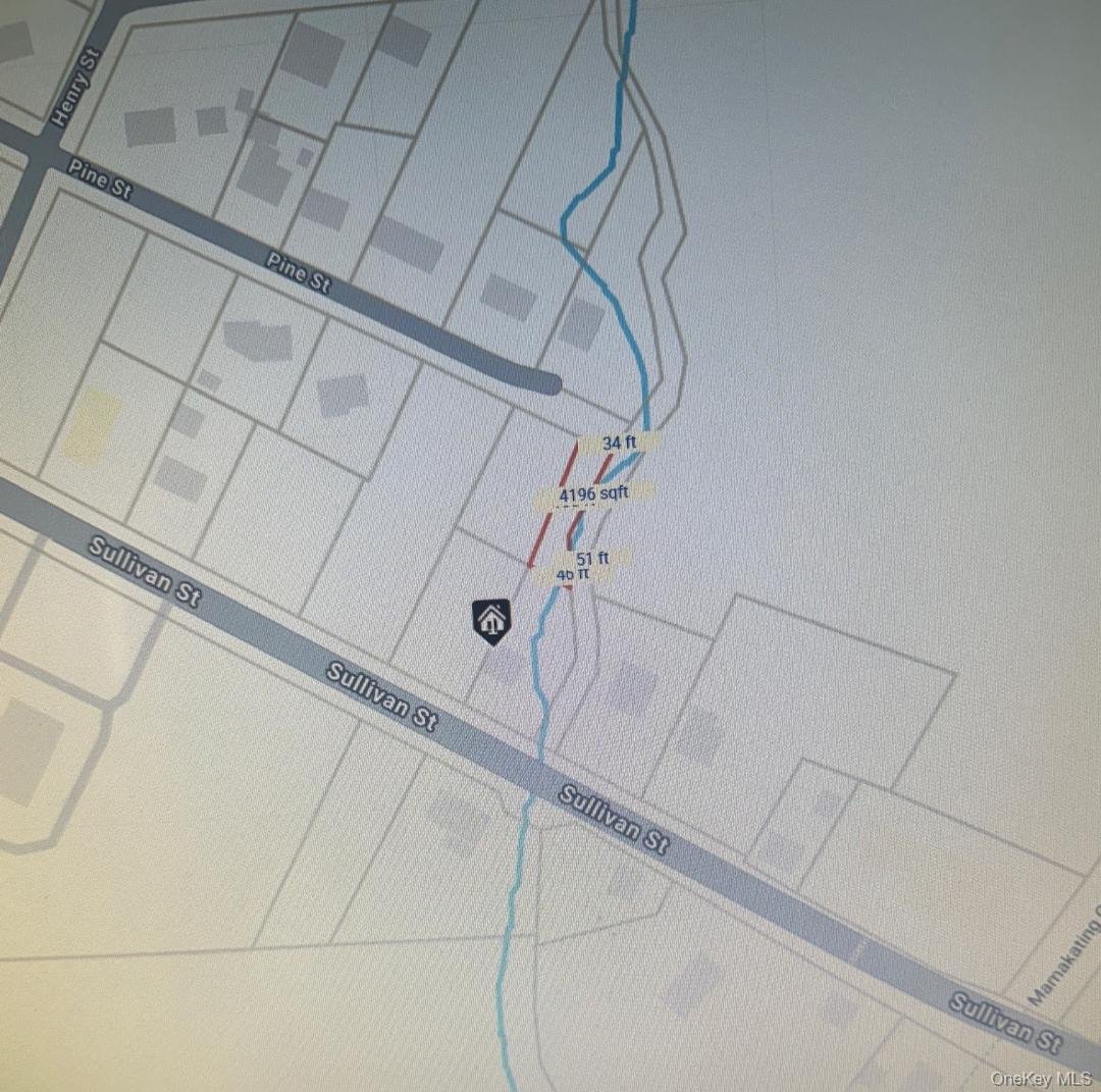 Pine Street, Wurtsboro, NY 12790