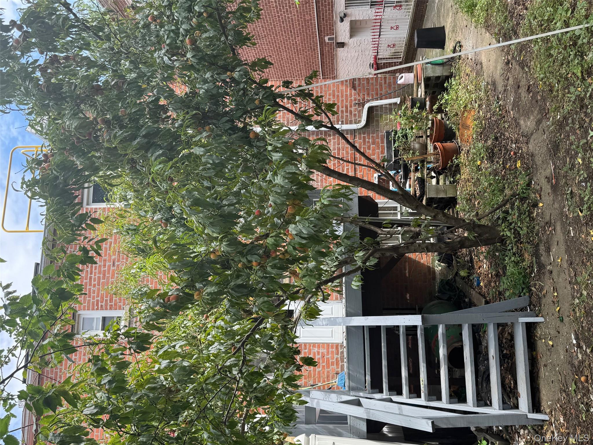 2339 Barnes Avenue, Bronx, NY 10467