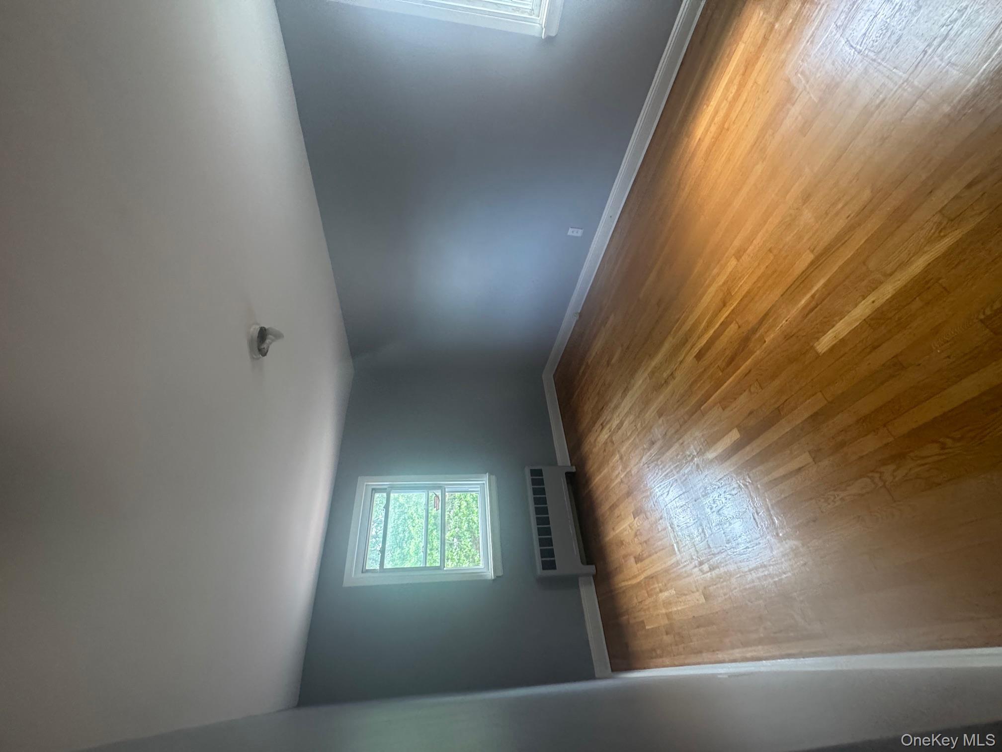 2339 Barnes Avenue, Bronx, NY 10467