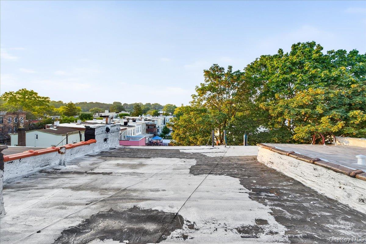 255 Ridgewood Avenue, Brooklyn, NY 11208