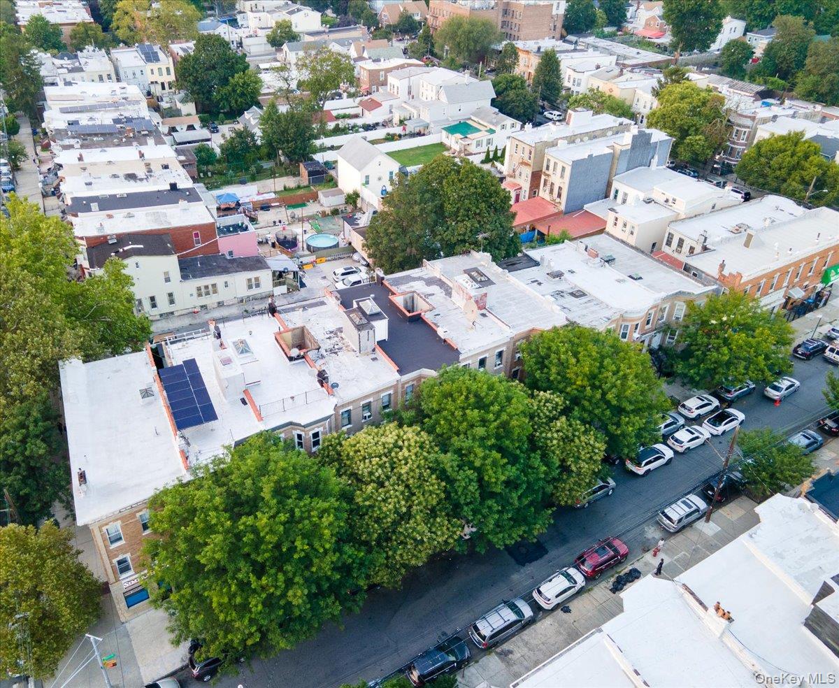 255 Ridgewood Avenue, Brooklyn, NY 11208