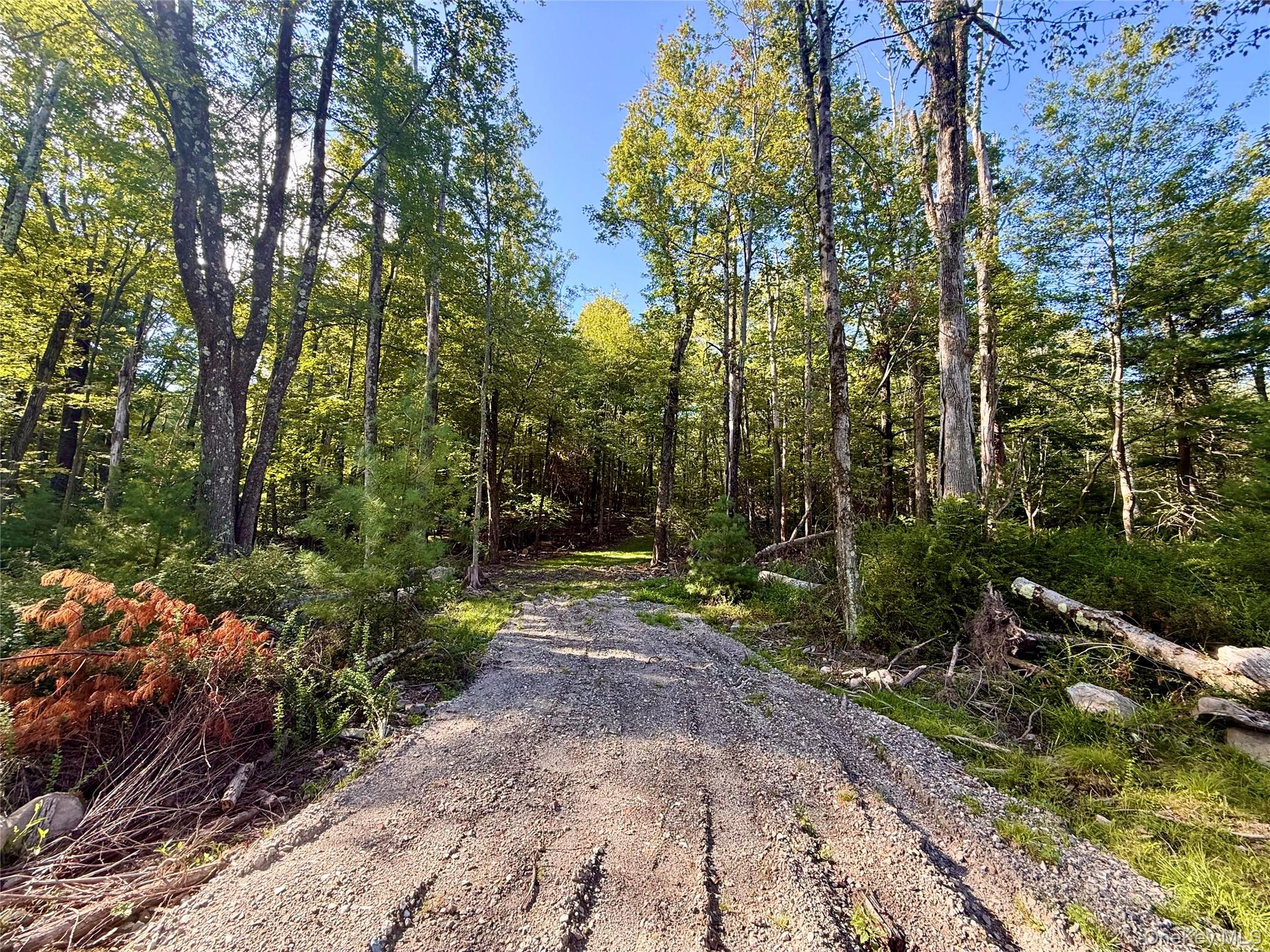 Mt Prosper Road, Wurtsboro, NY 12790