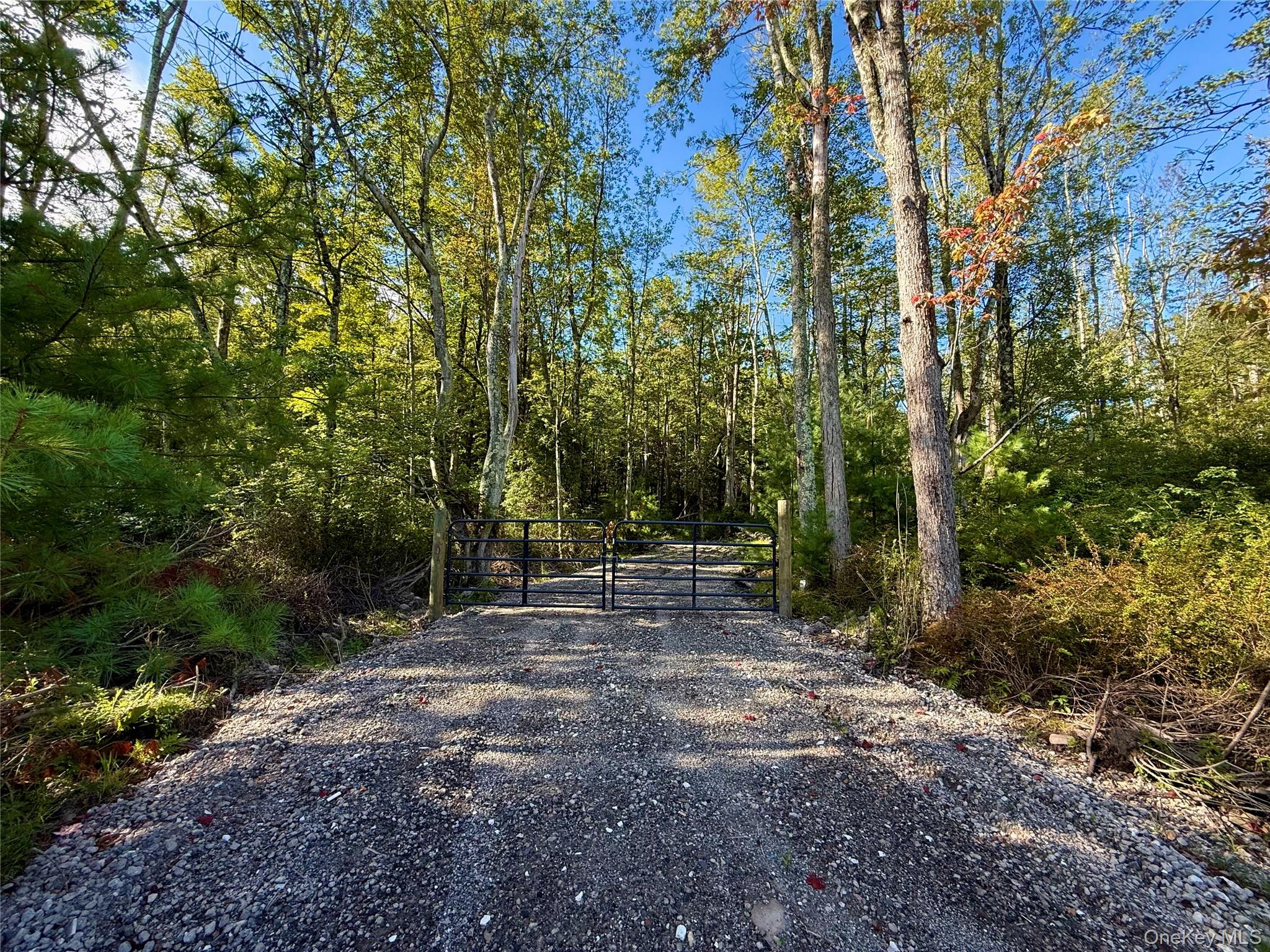 Mt Prosper Road, Wurtsboro, NY 12790