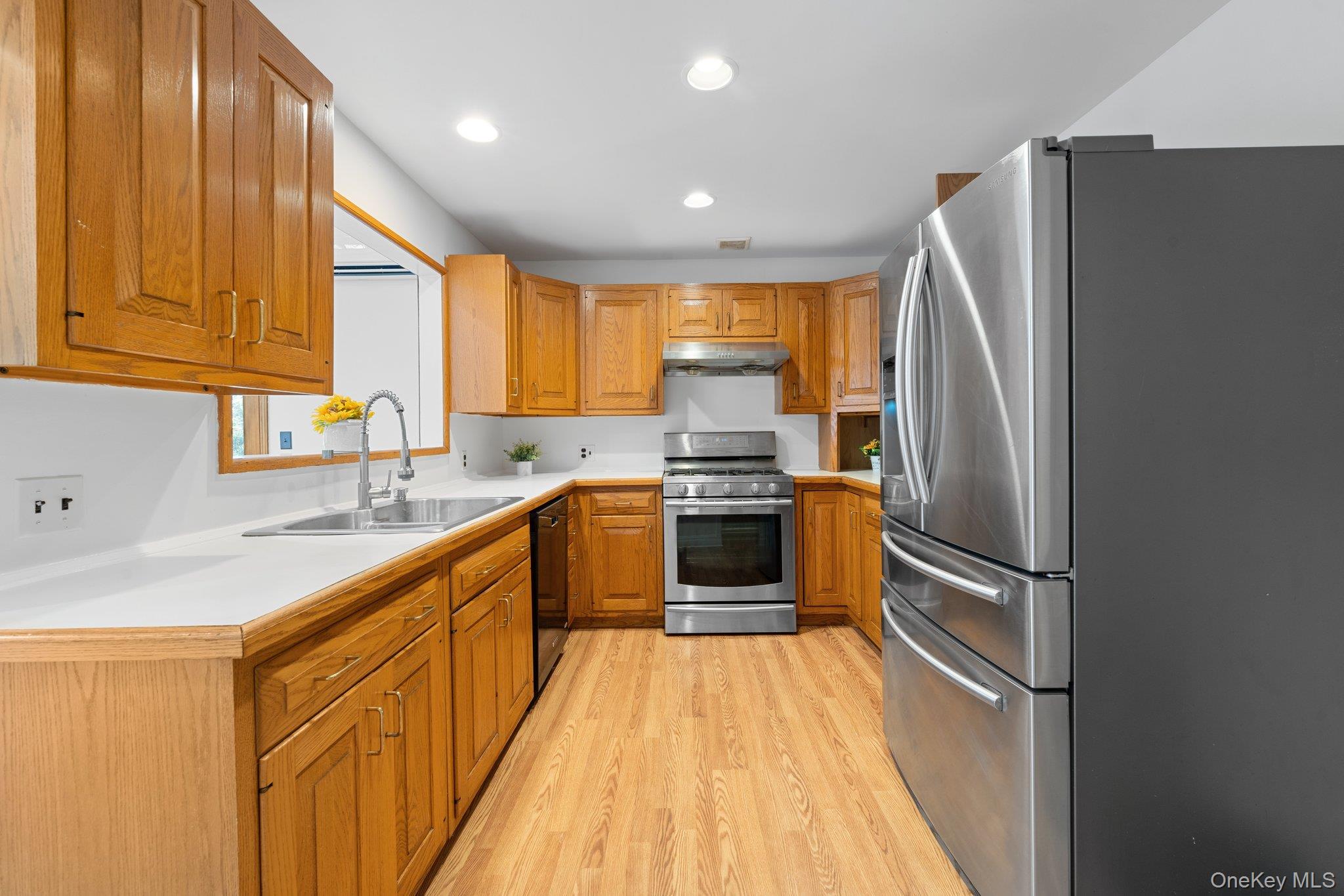 128 Charles Street, East Williston, NY 11596