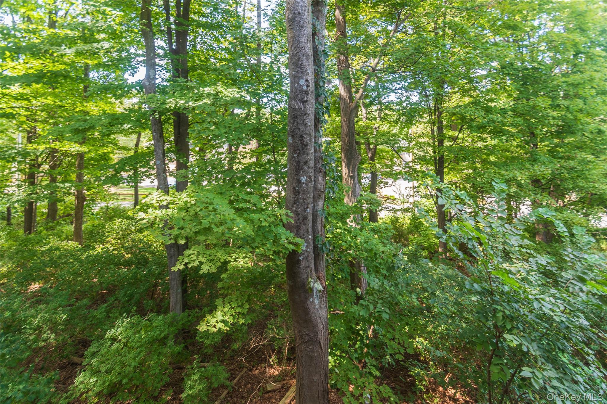 258 Village Court, Kingston, NY 12401