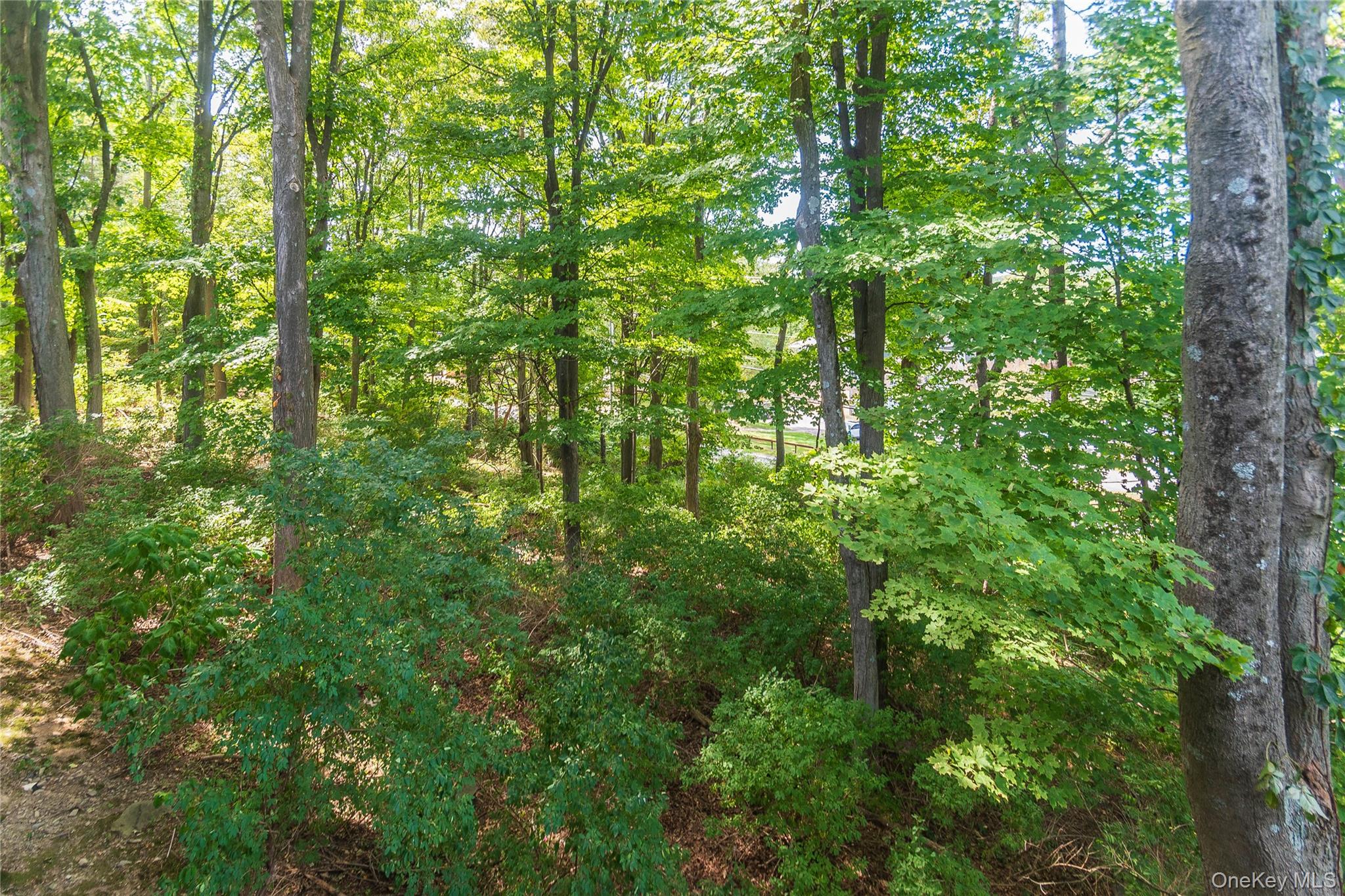 258 Village Court, Kingston, NY 12401