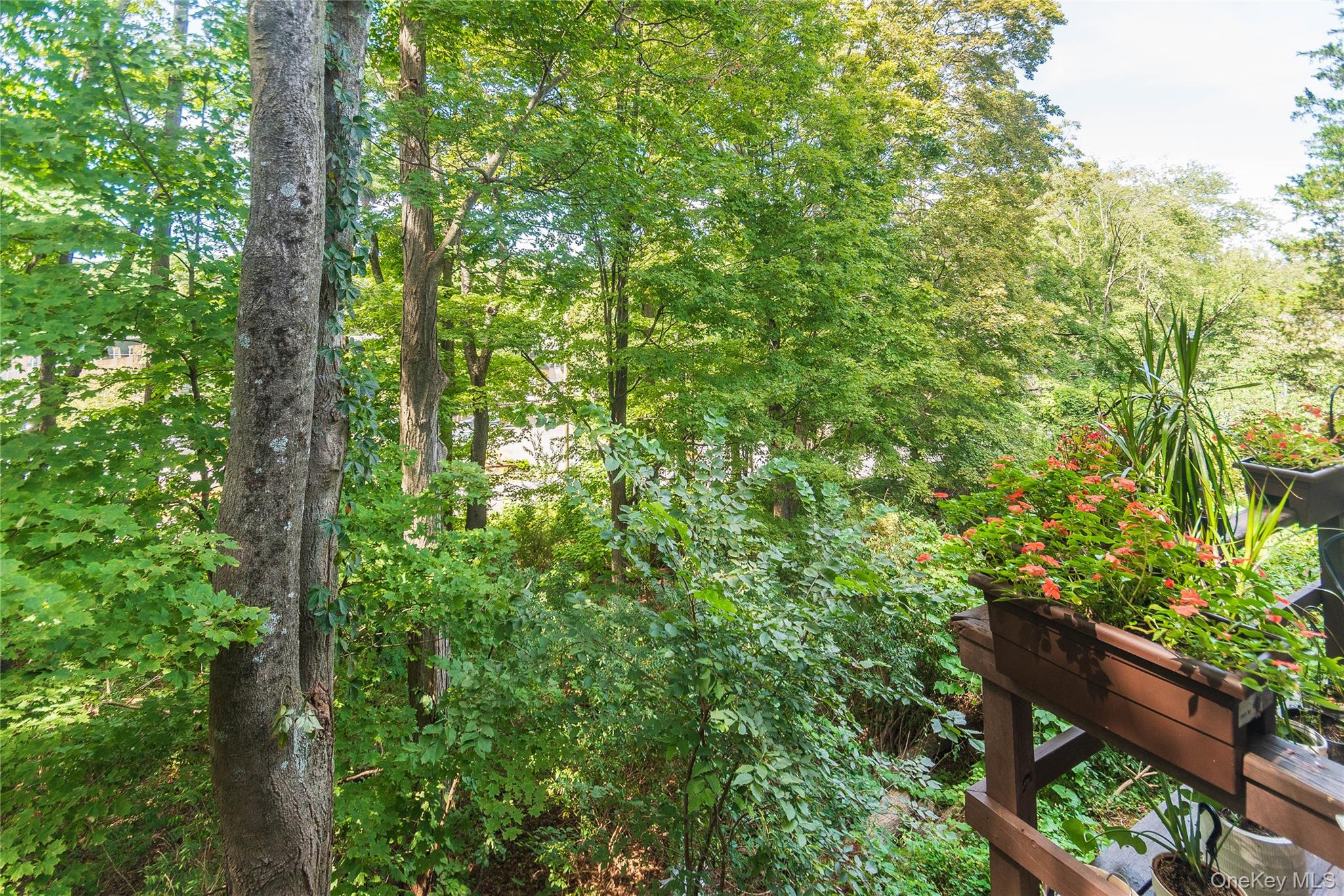 258 Village Court, Kingston, NY 12401