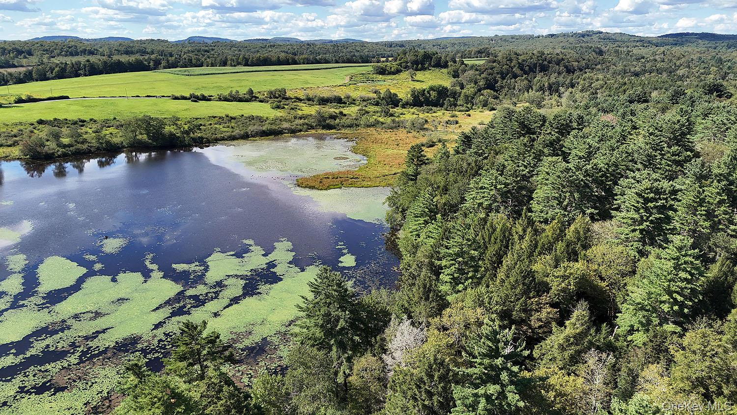 TBD George Segar Road, Swan Lake, NY 12783