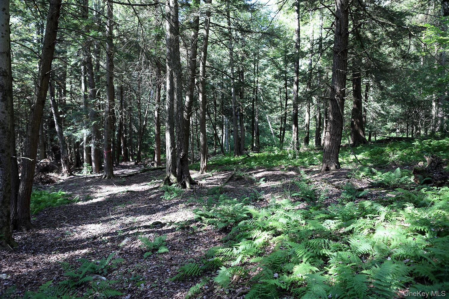 TBD George Segar Road, Swan Lake, NY 12783