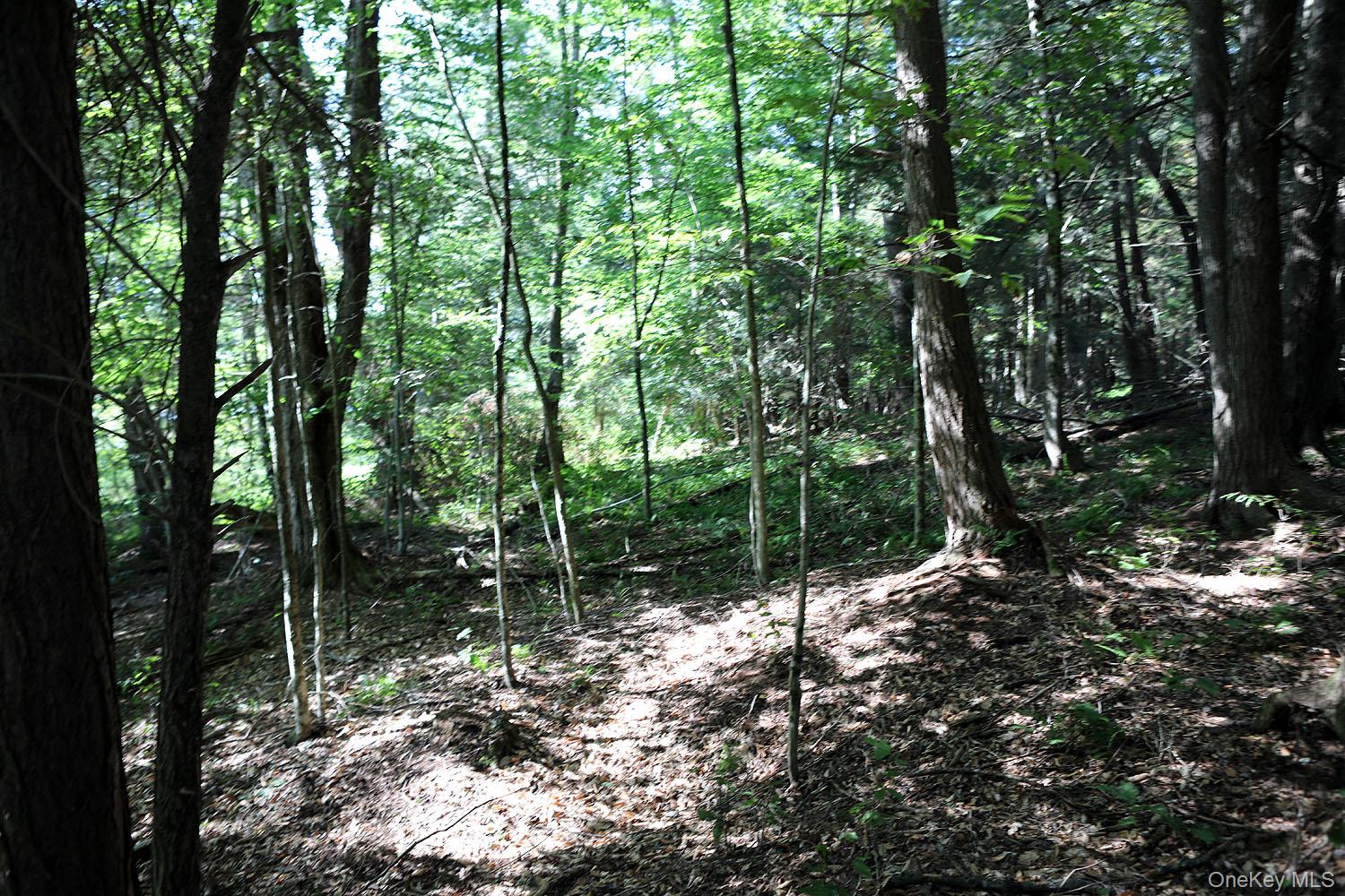 TBD George Segar Road, Swan Lake, NY 12783