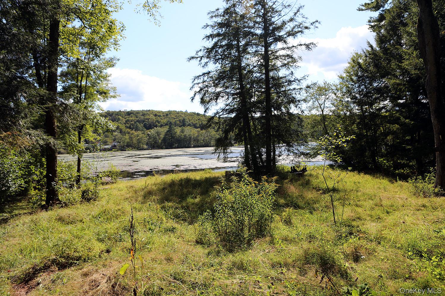 TBD George Segar Road, Swan Lake, NY 12783