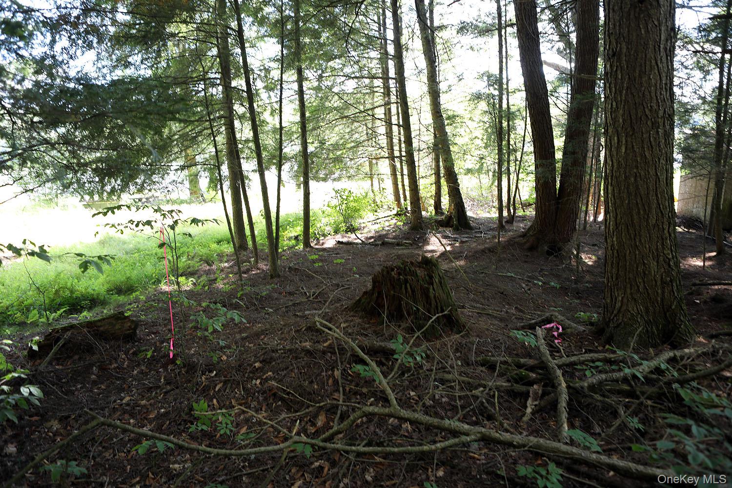 TBD George Segar Road, Swan Lake, NY 12783