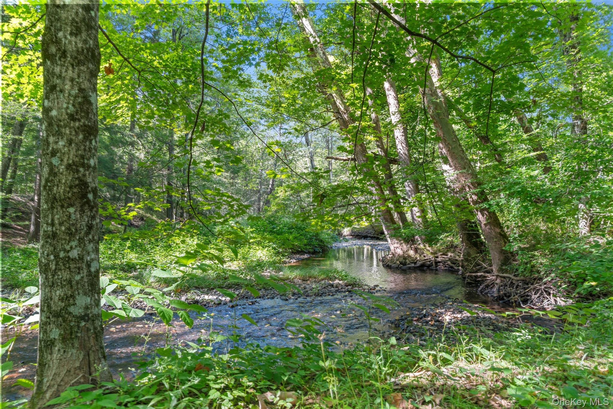 886 Burlingham Road, Pine Bush, NY 12566