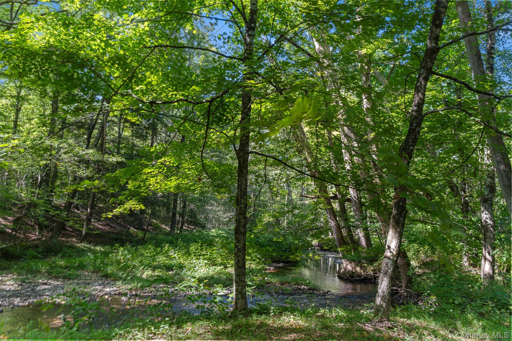 886 Burlingham Road, Pine Bush, NY 12566